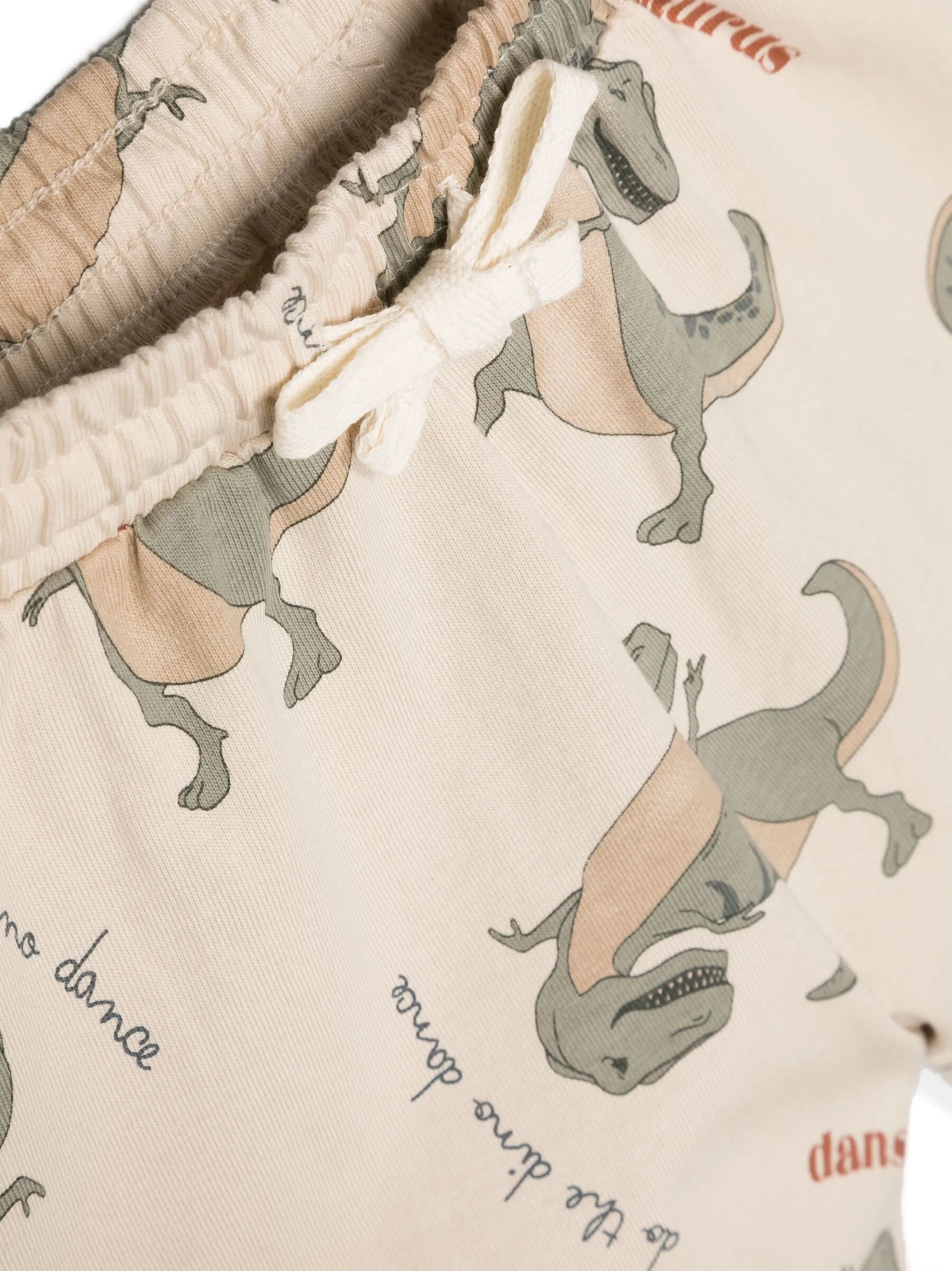 dinosaur printed set