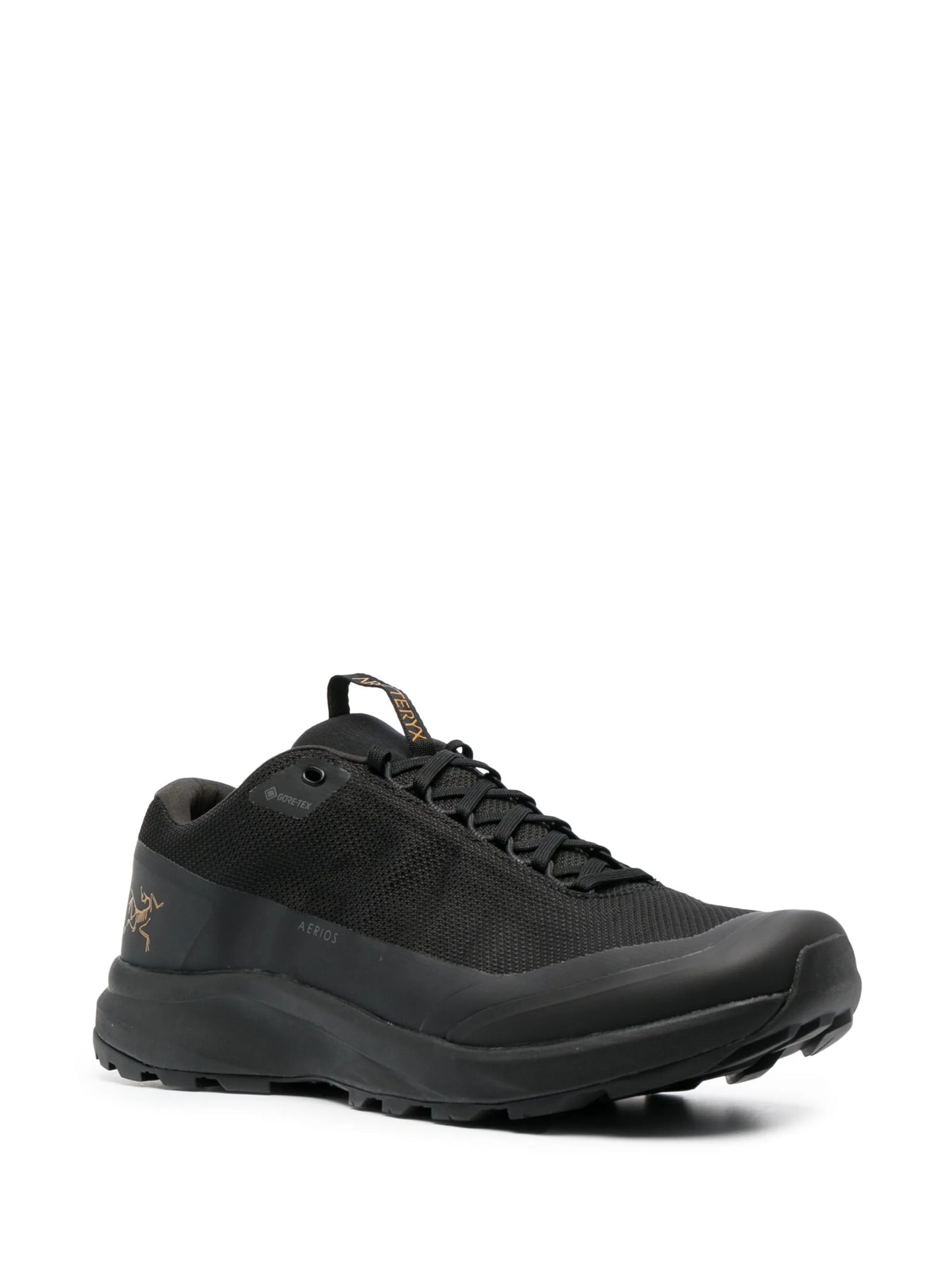 Aerios FL 2 GTX M sneakers