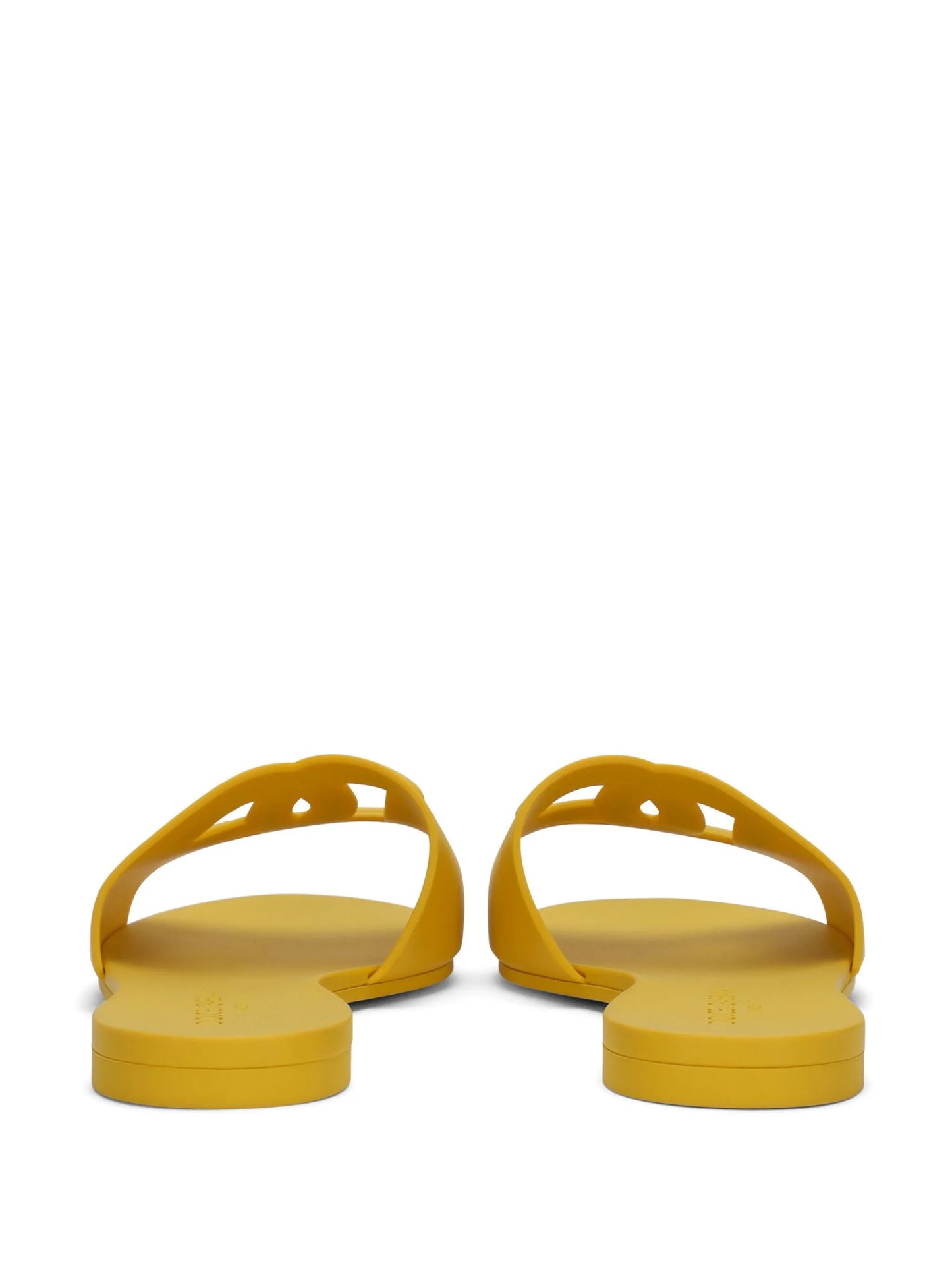 Bianca DG-logo slides