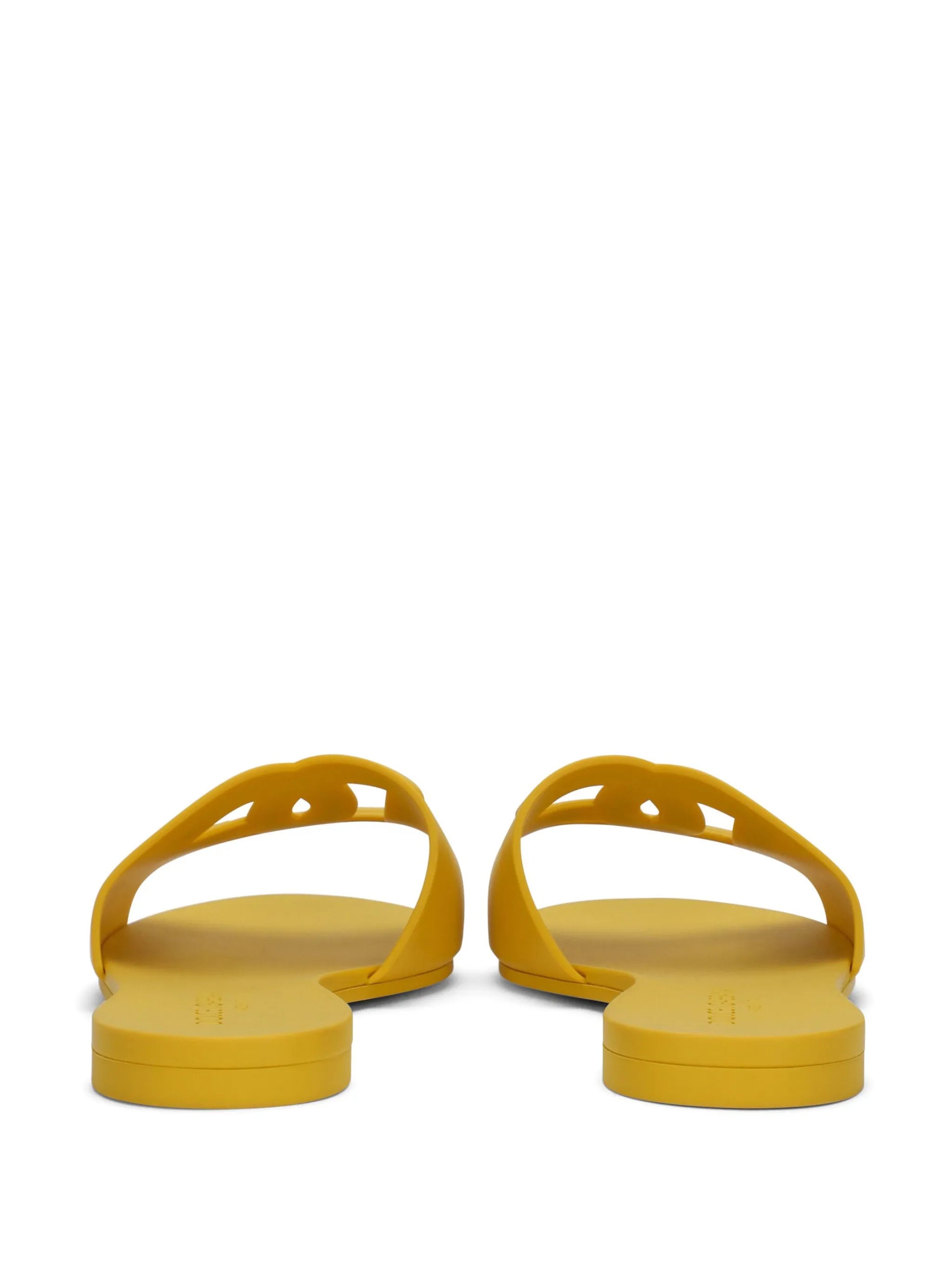 Bianca DG-logo slides