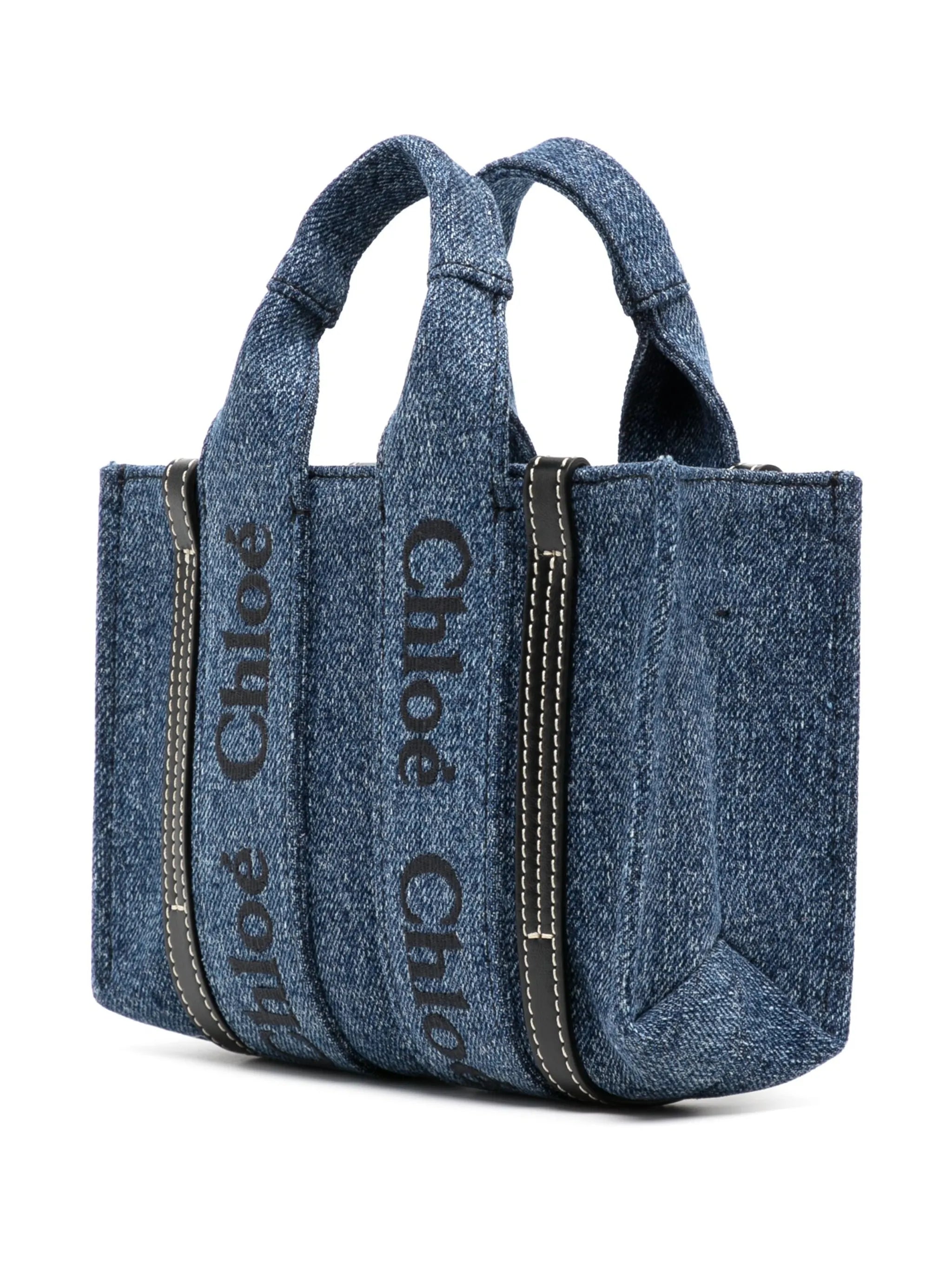 Mini Woody Nano Tote bag