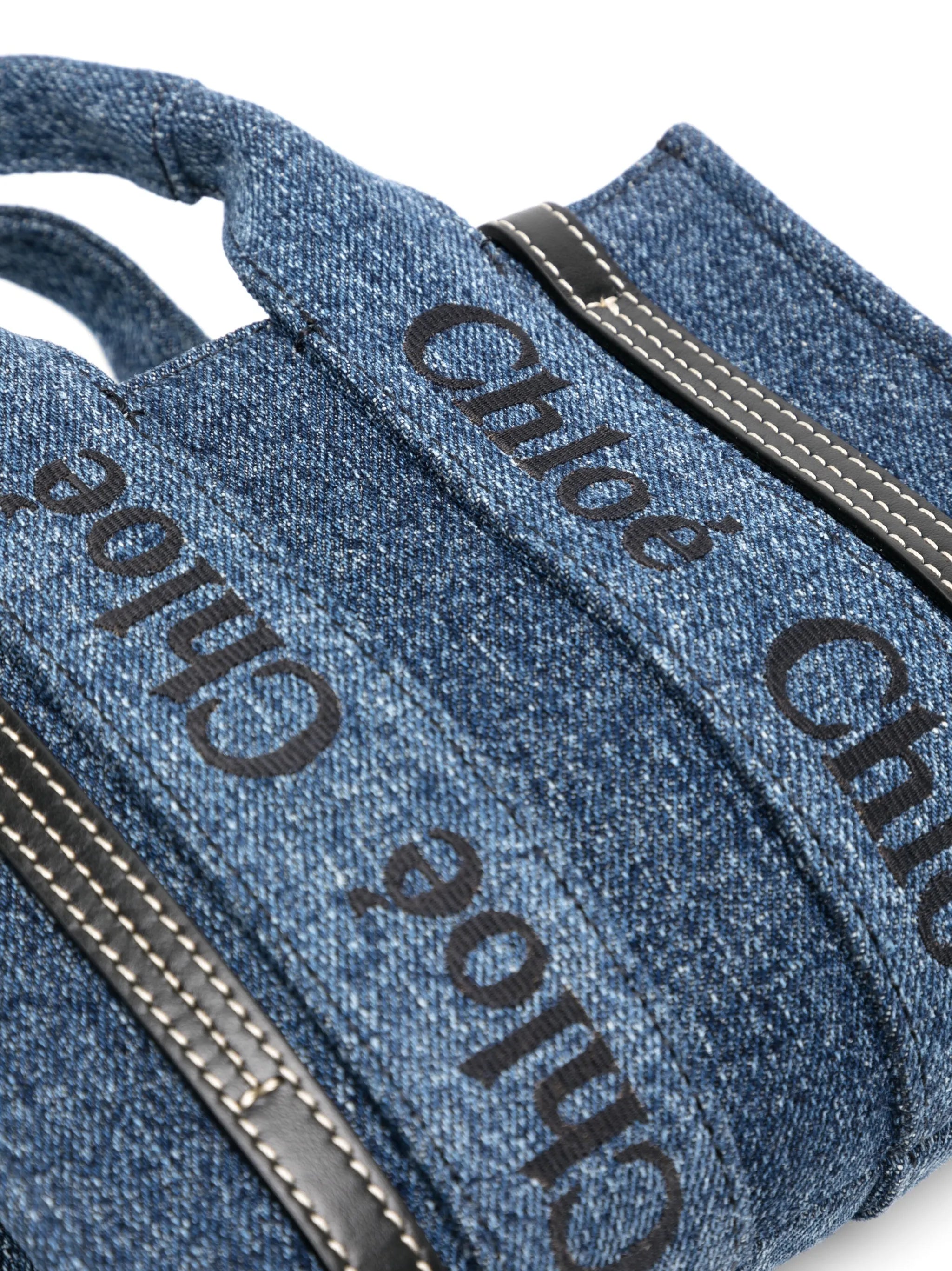 Mini Woody Nano Tote bag
