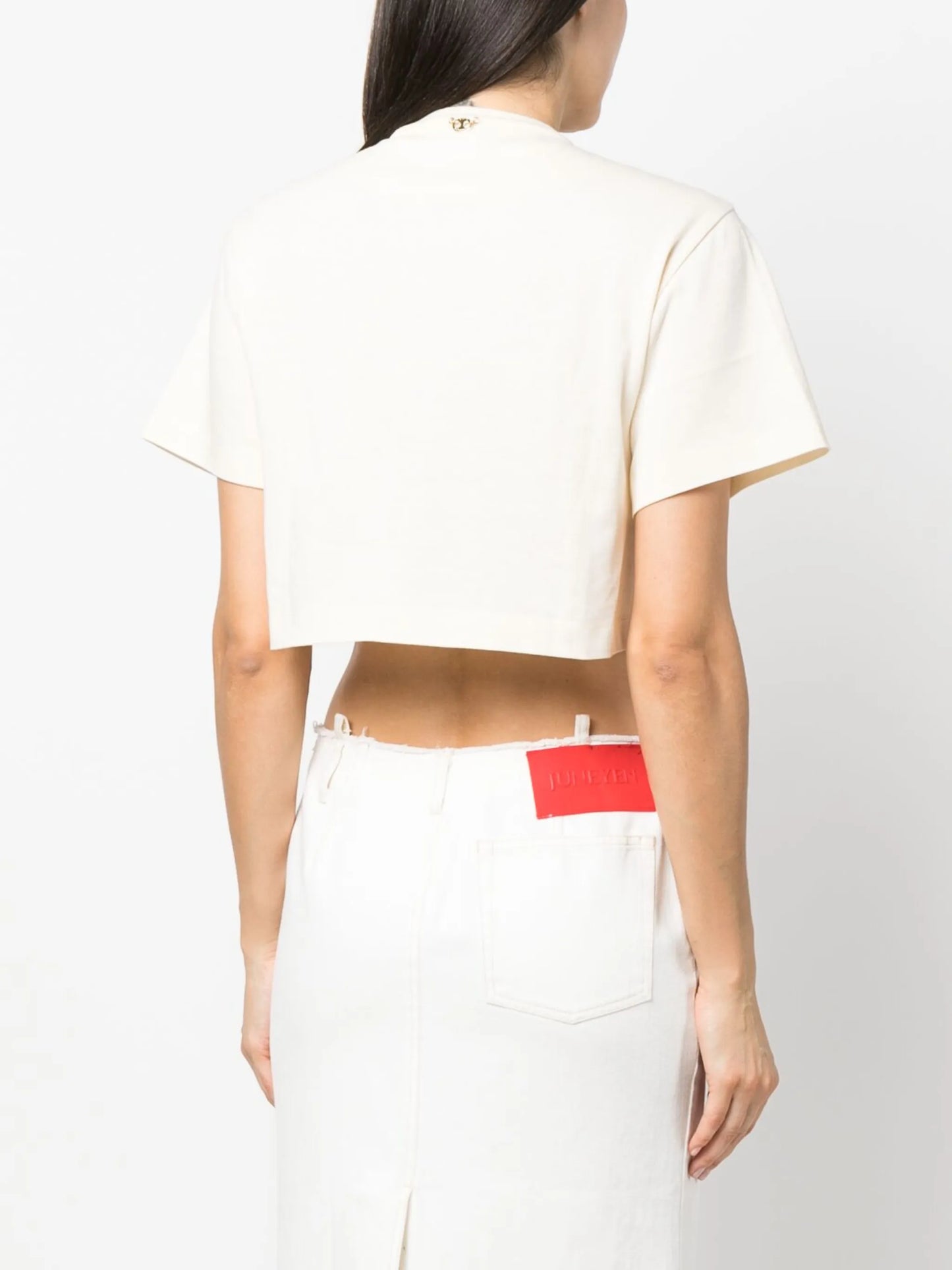 chainmail-panel cropped T-shirt