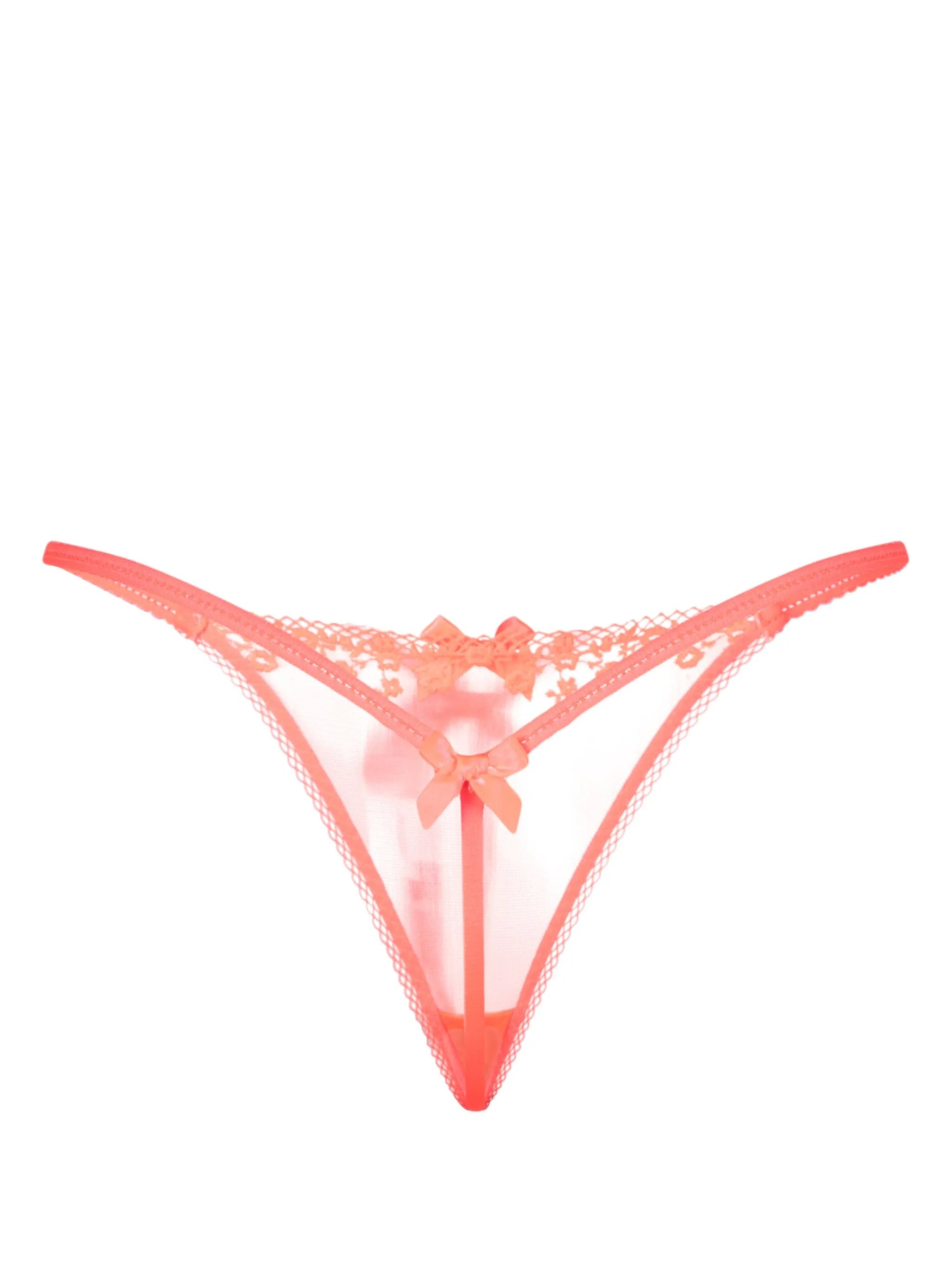 Florina floral-lace mesh thong