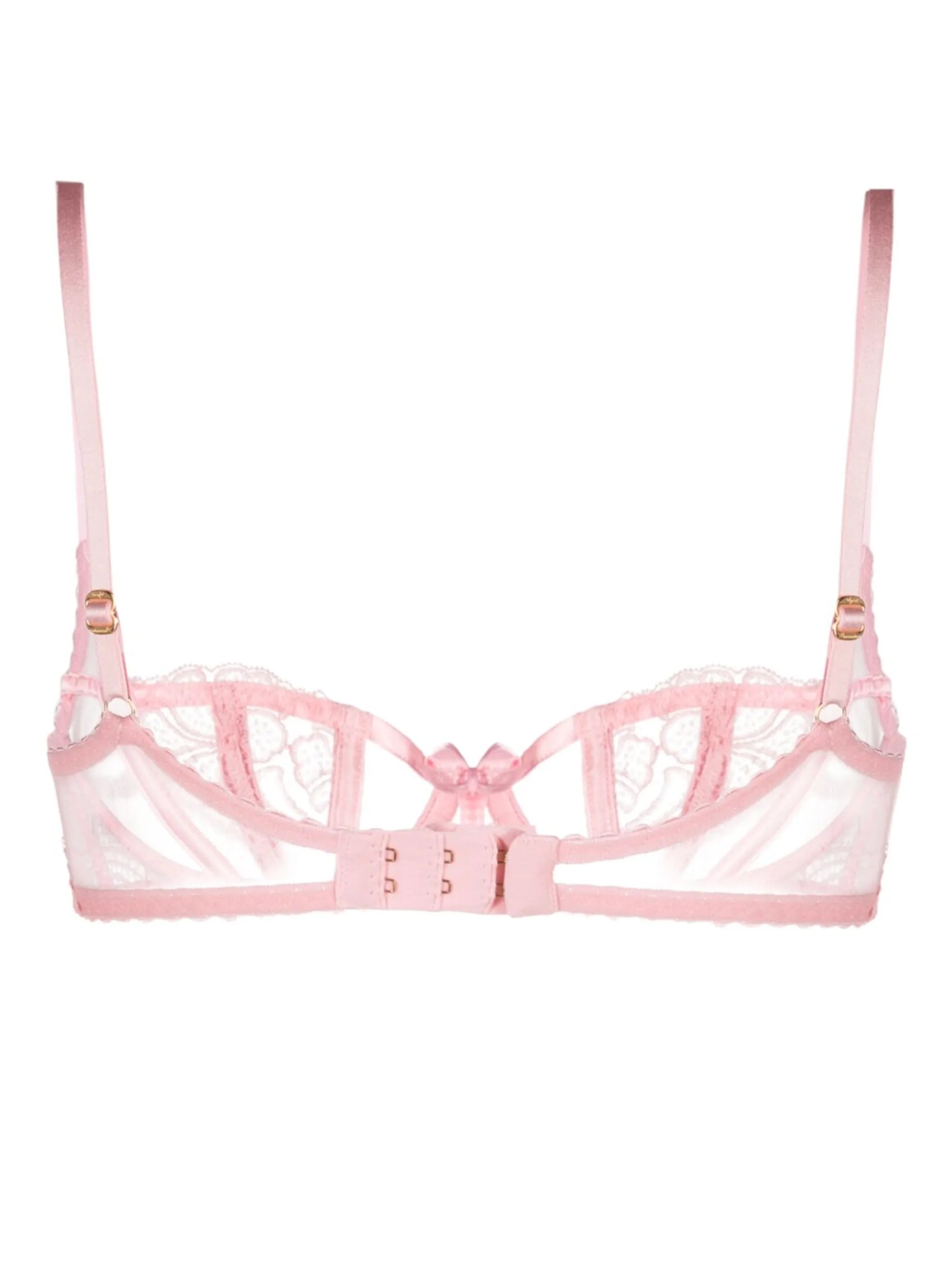 Rozlyn picot-trim sheer-lace bra