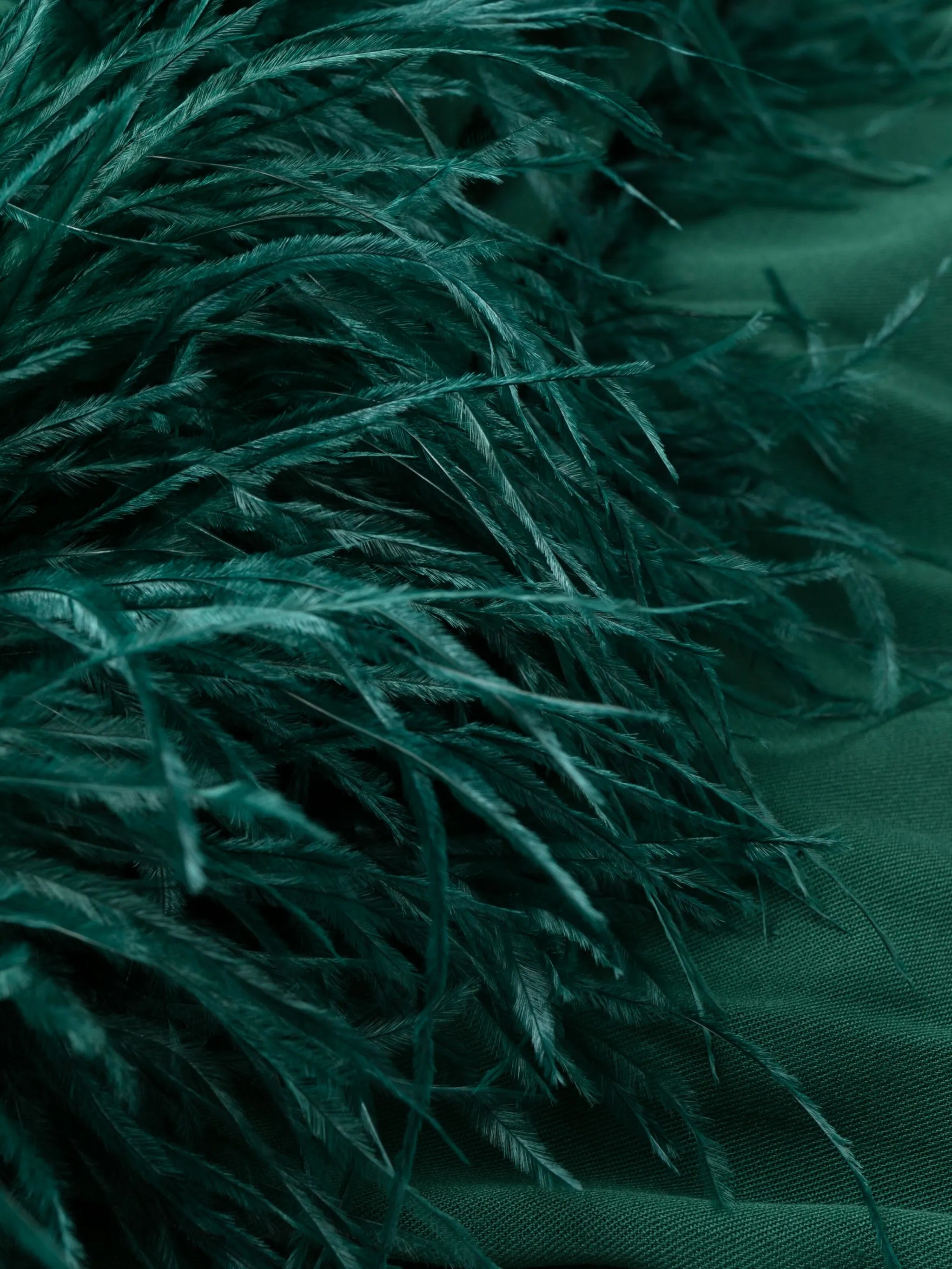 Party feather-detail pyjama set