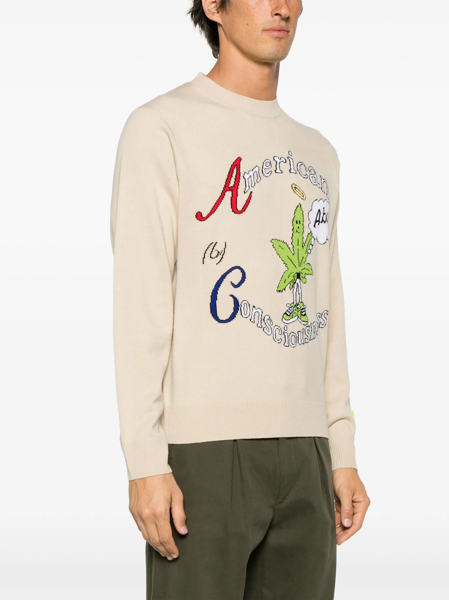 American Consciousness crew-neck jumper