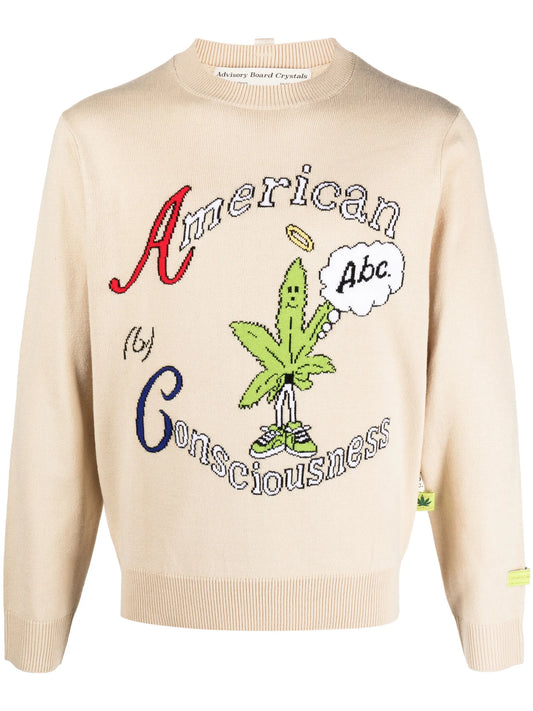 American Consciousness crew-neck jumper