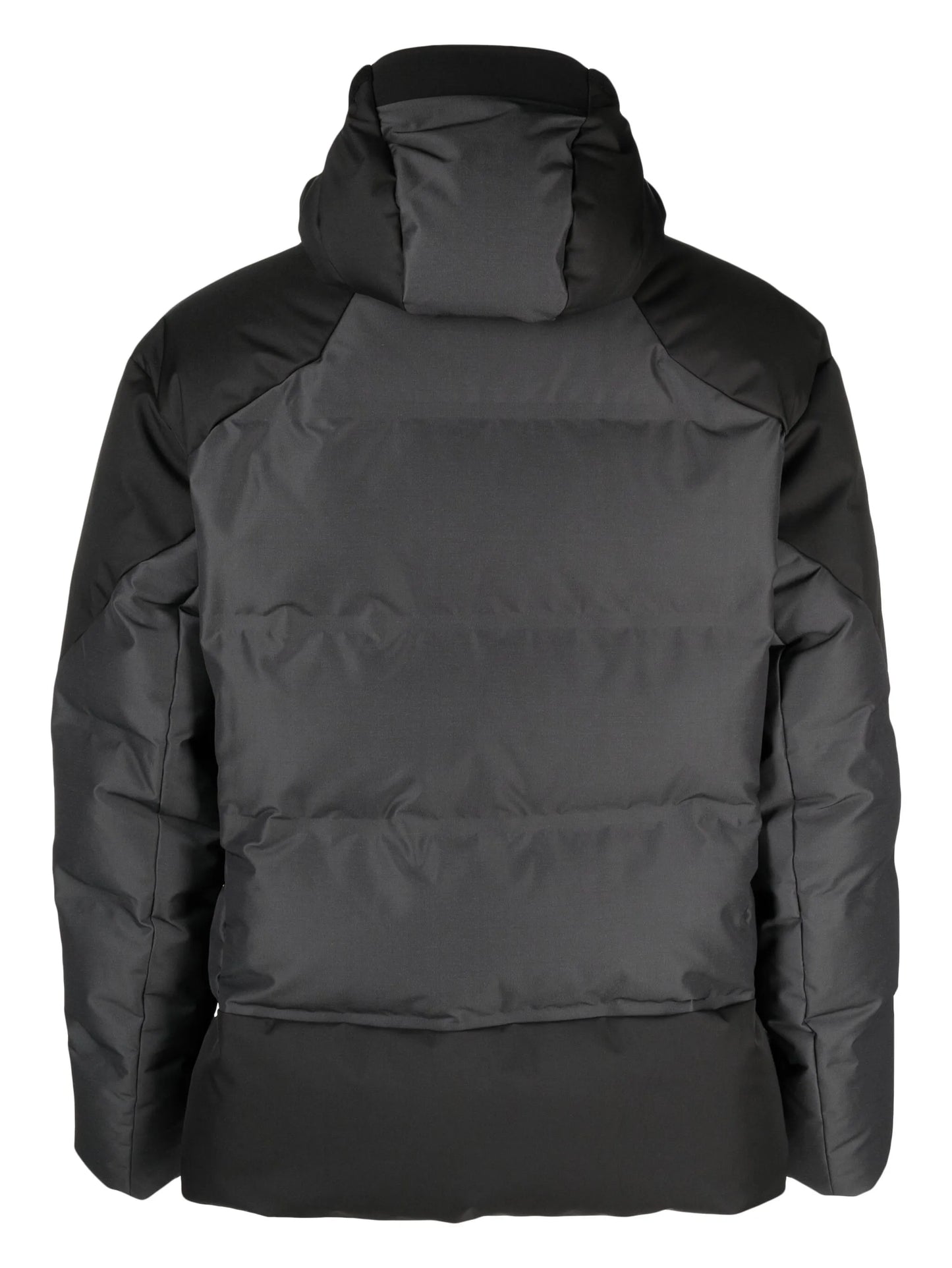 Vampire 2.0 hooded jacket