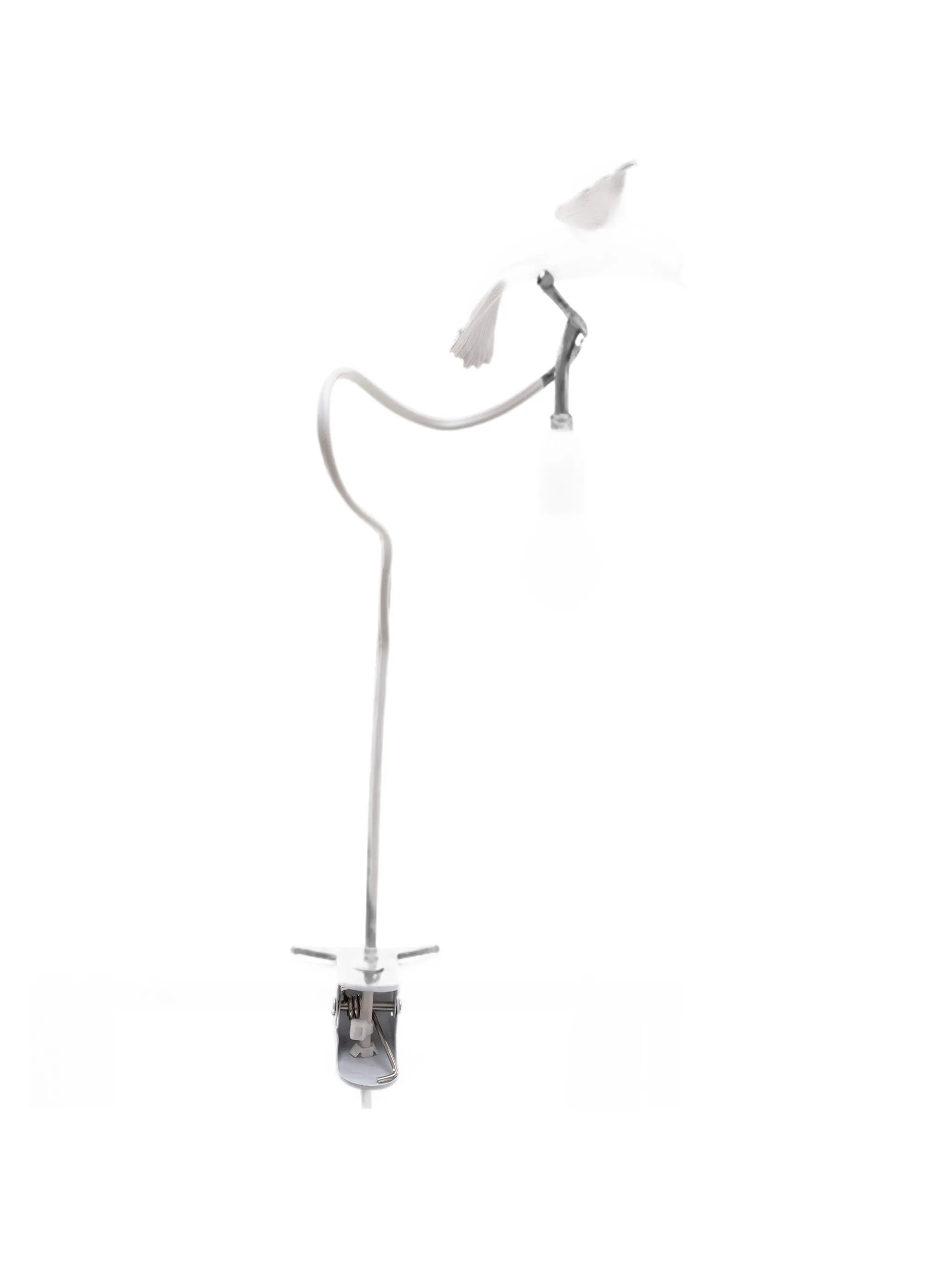 x Marcantonio table lamp