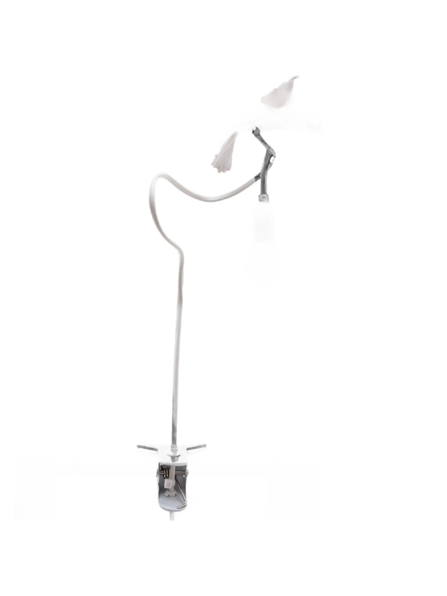 x Marcantonio table lamp