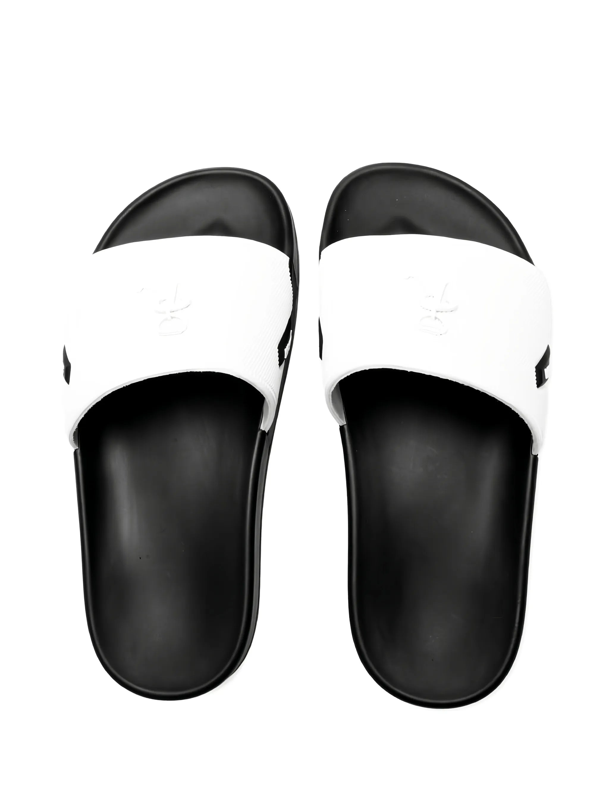 Astra logo-embellished slides