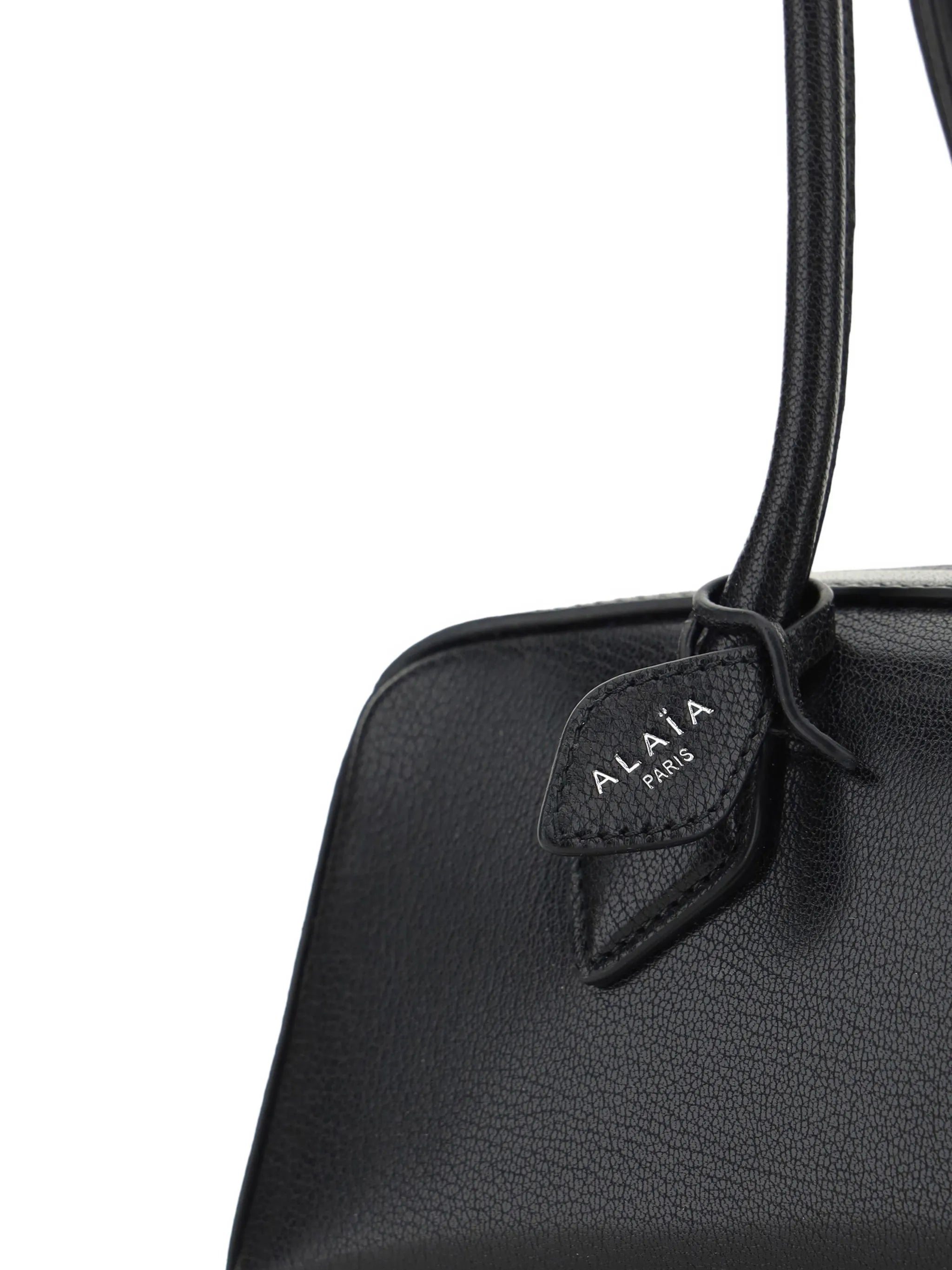 medium Le Teckel leather east-west bag