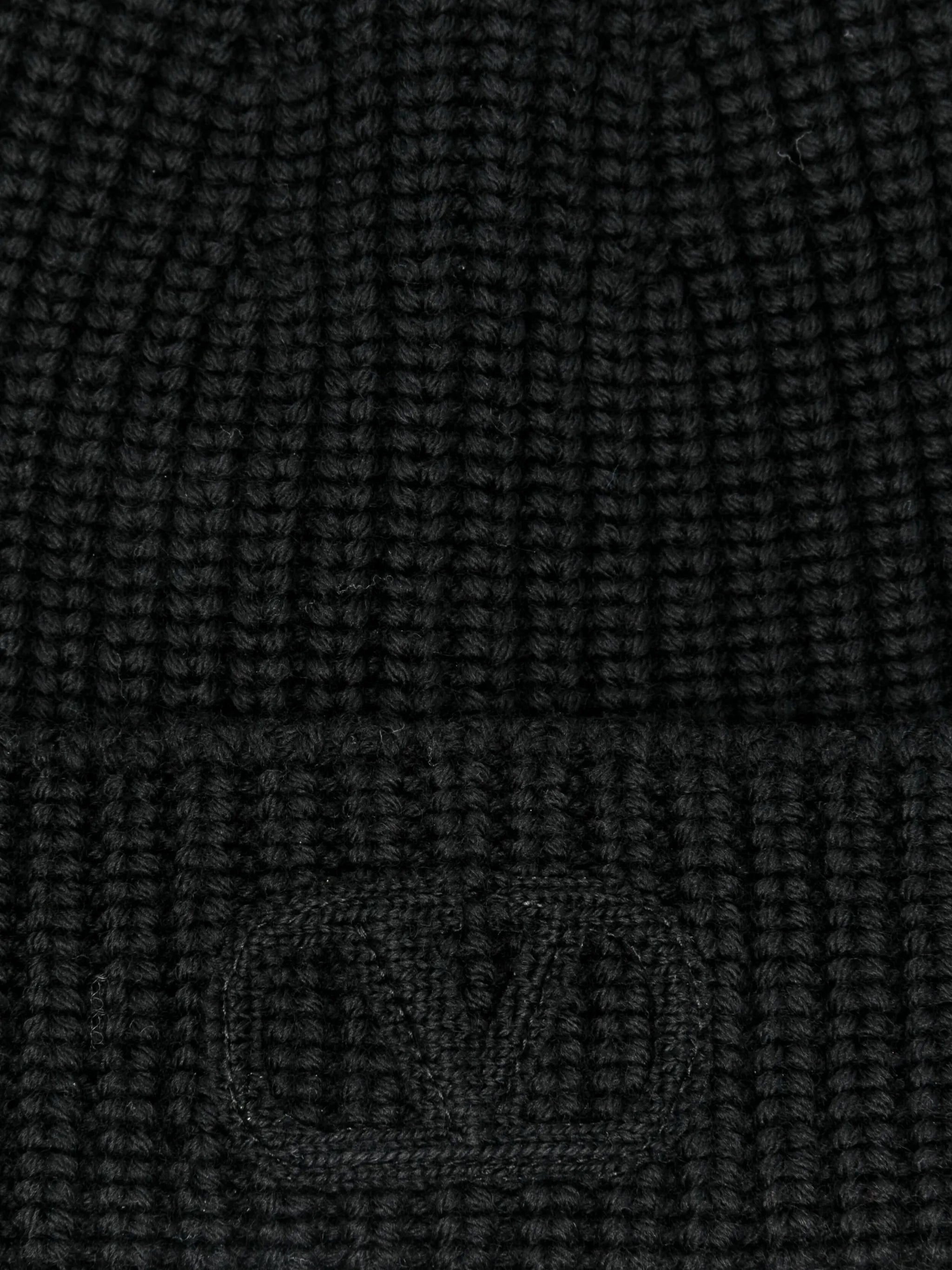 VLogo Signature beanie