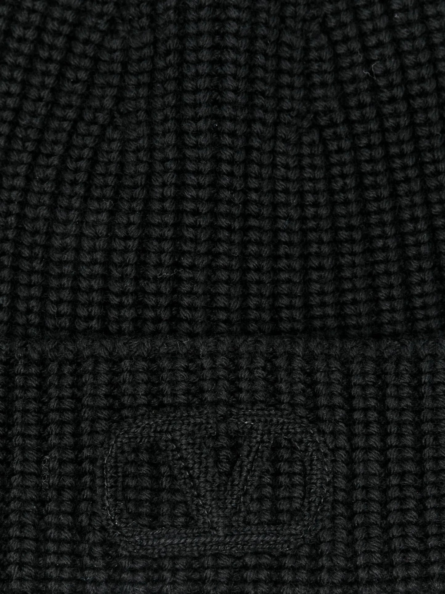 VLogo Signature beanie