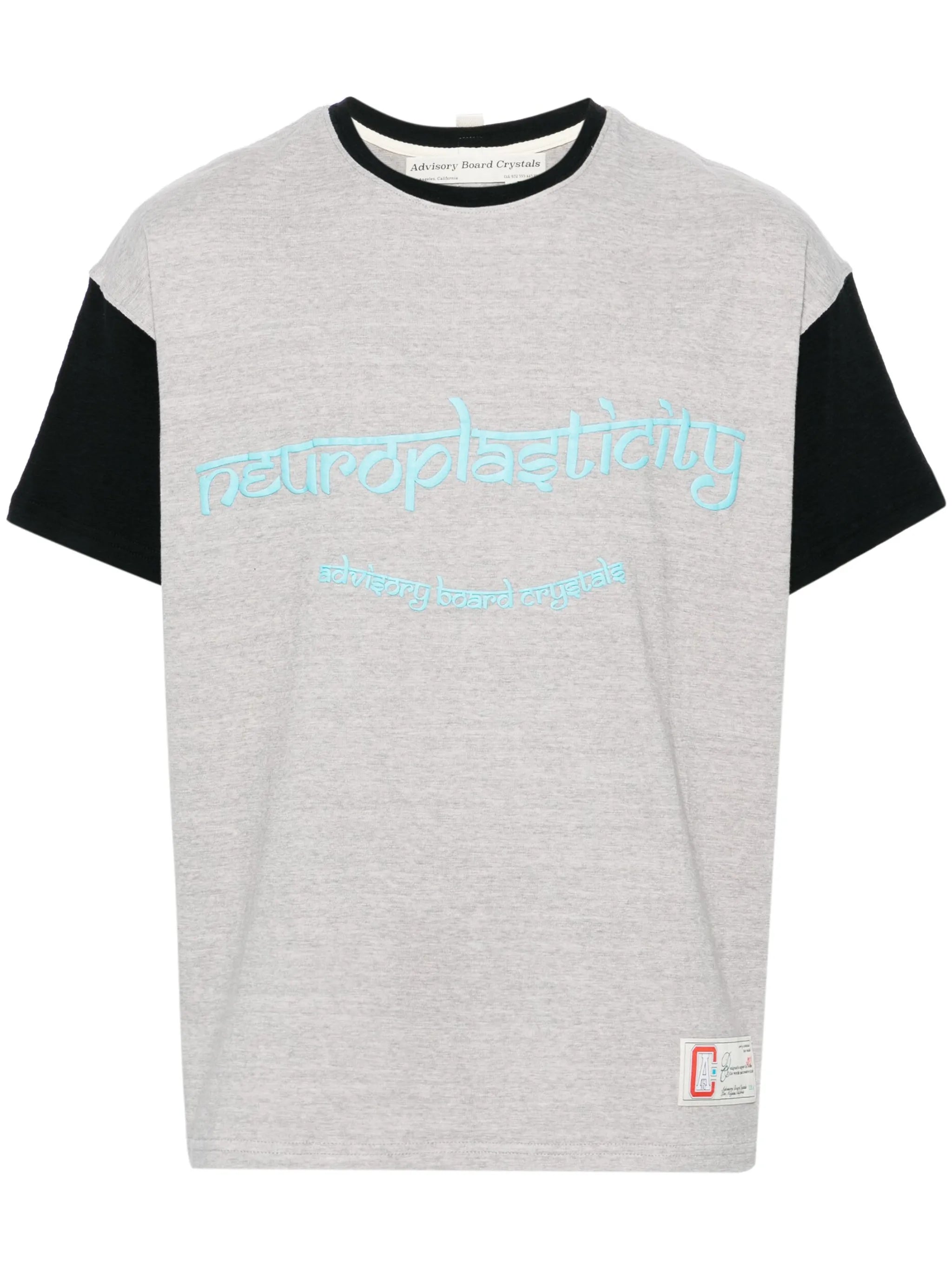 Neuroplasticity mélange T-shirt
