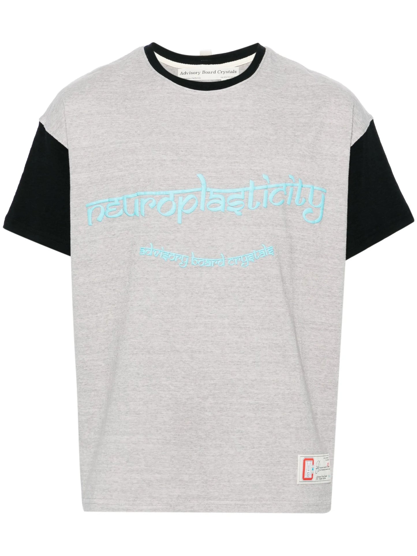 Neuroplasticity mélange T-shirt