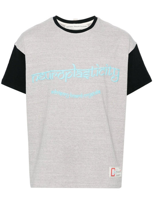 Neuroplasticity mélange T-shirt