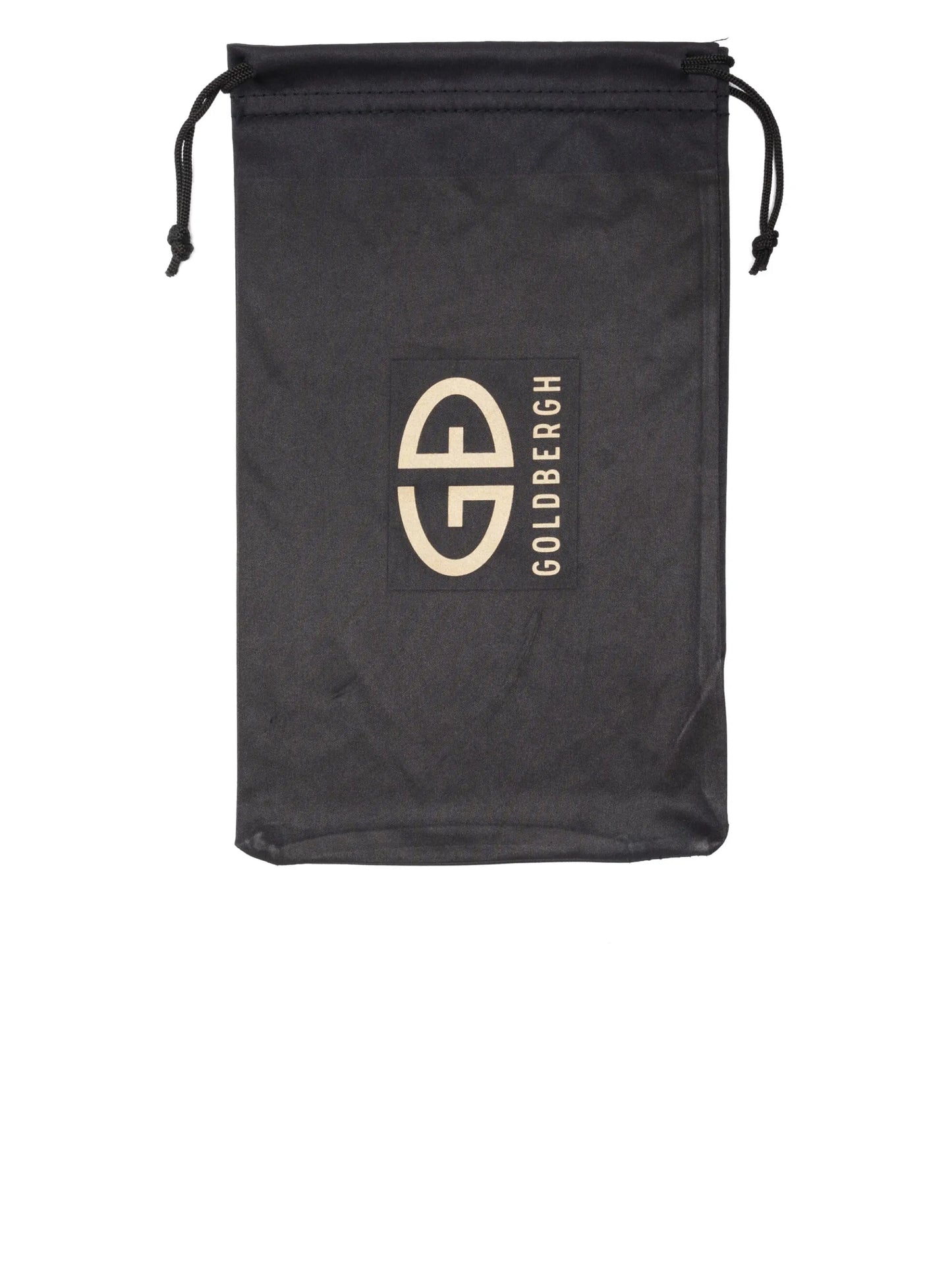 Protégé ski goggles