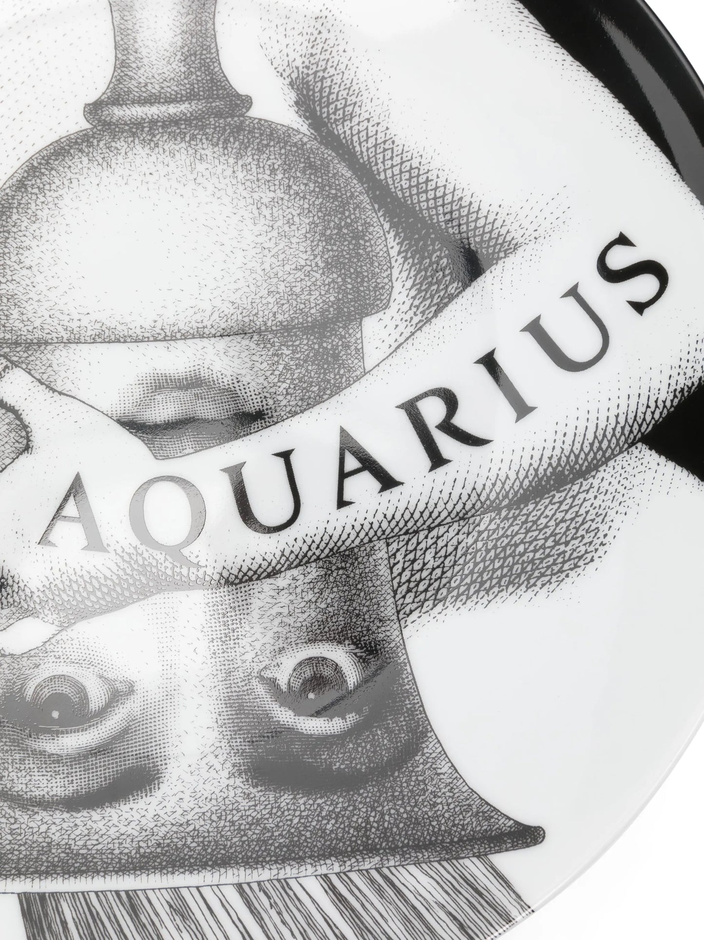Tema e Variazioni n.358 Aquarius wall plate (26cm)