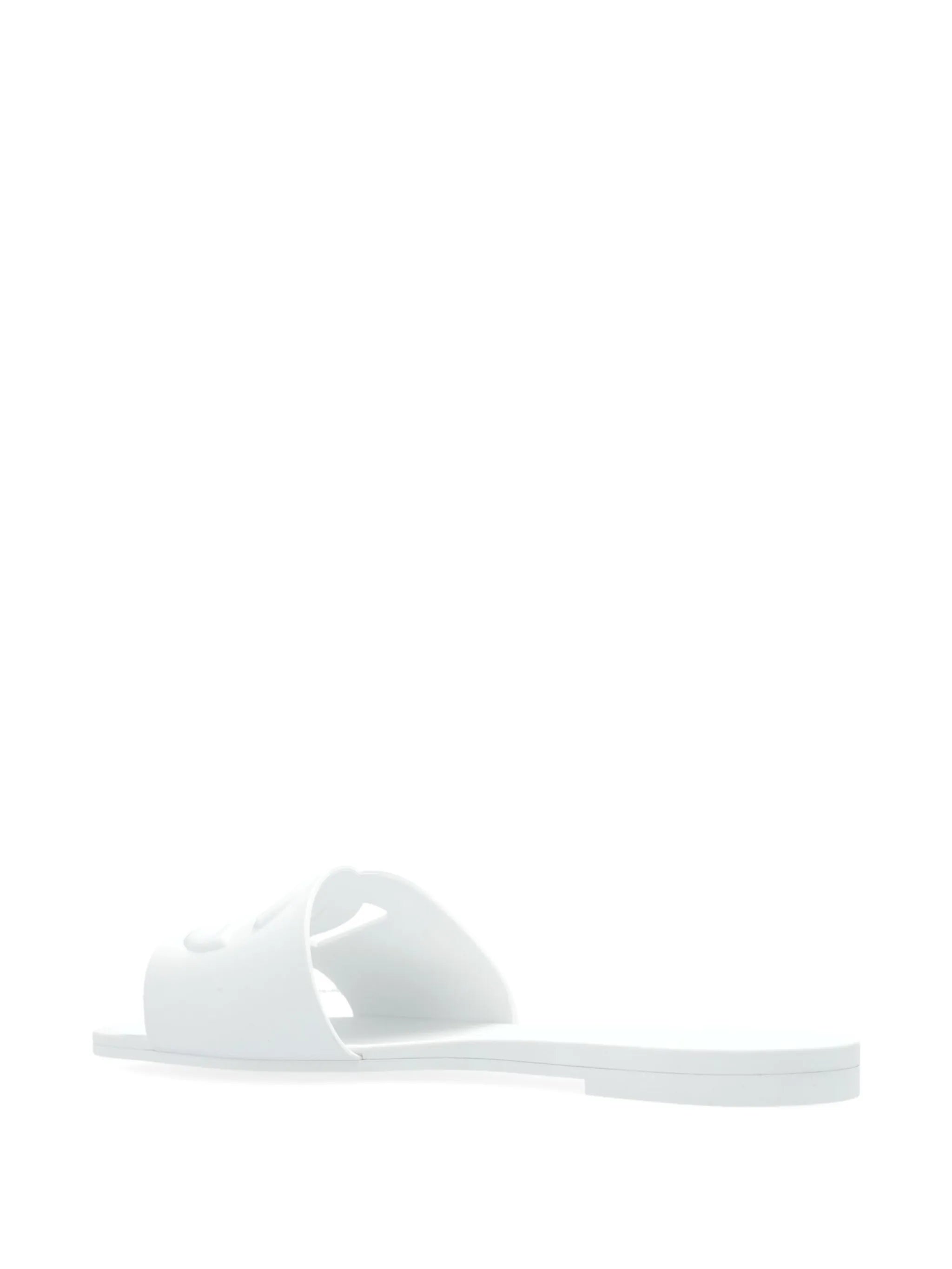 Bianca Slides