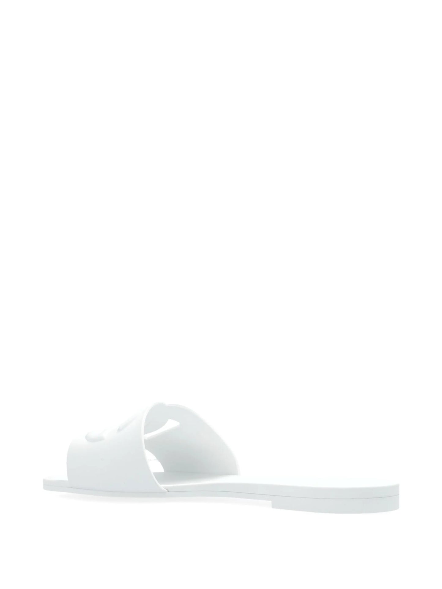 Bianca Slides