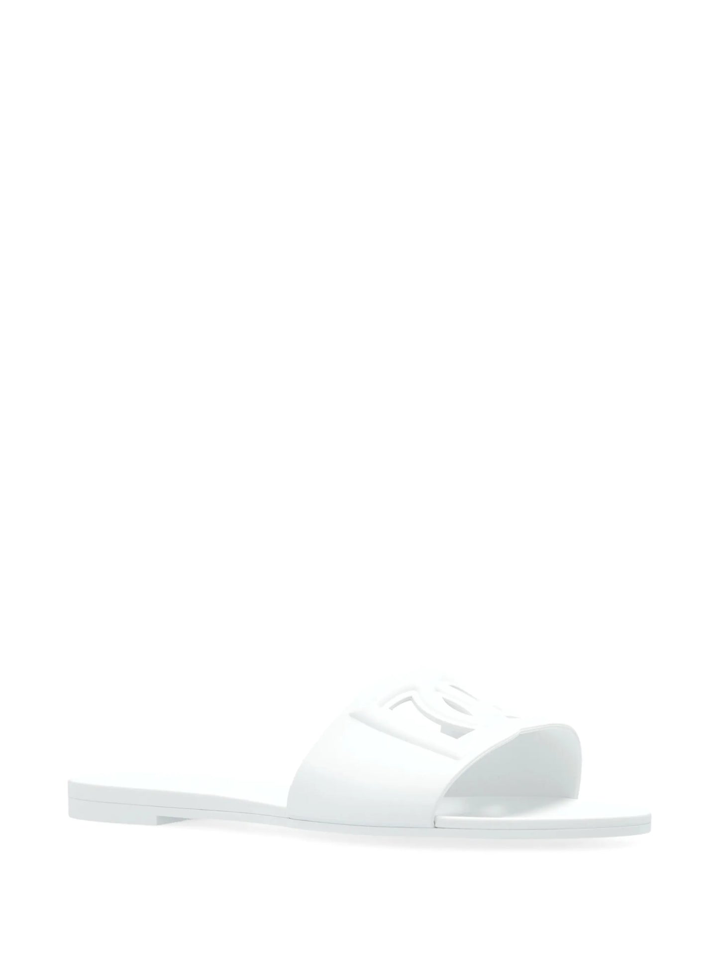 Bianca Slides