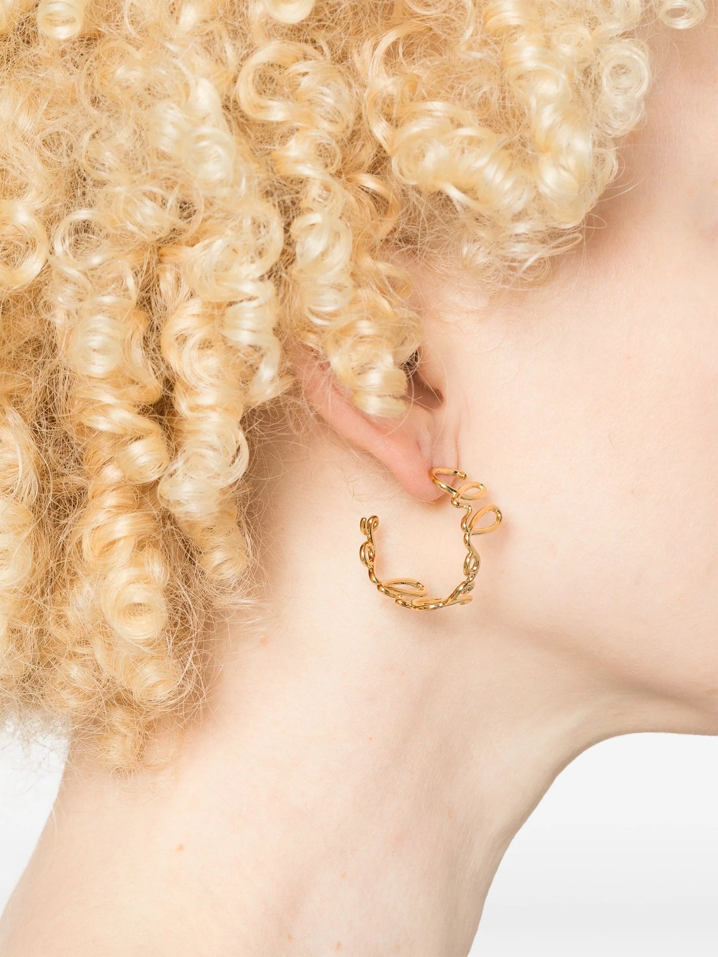 The Chloé Iconic hoops