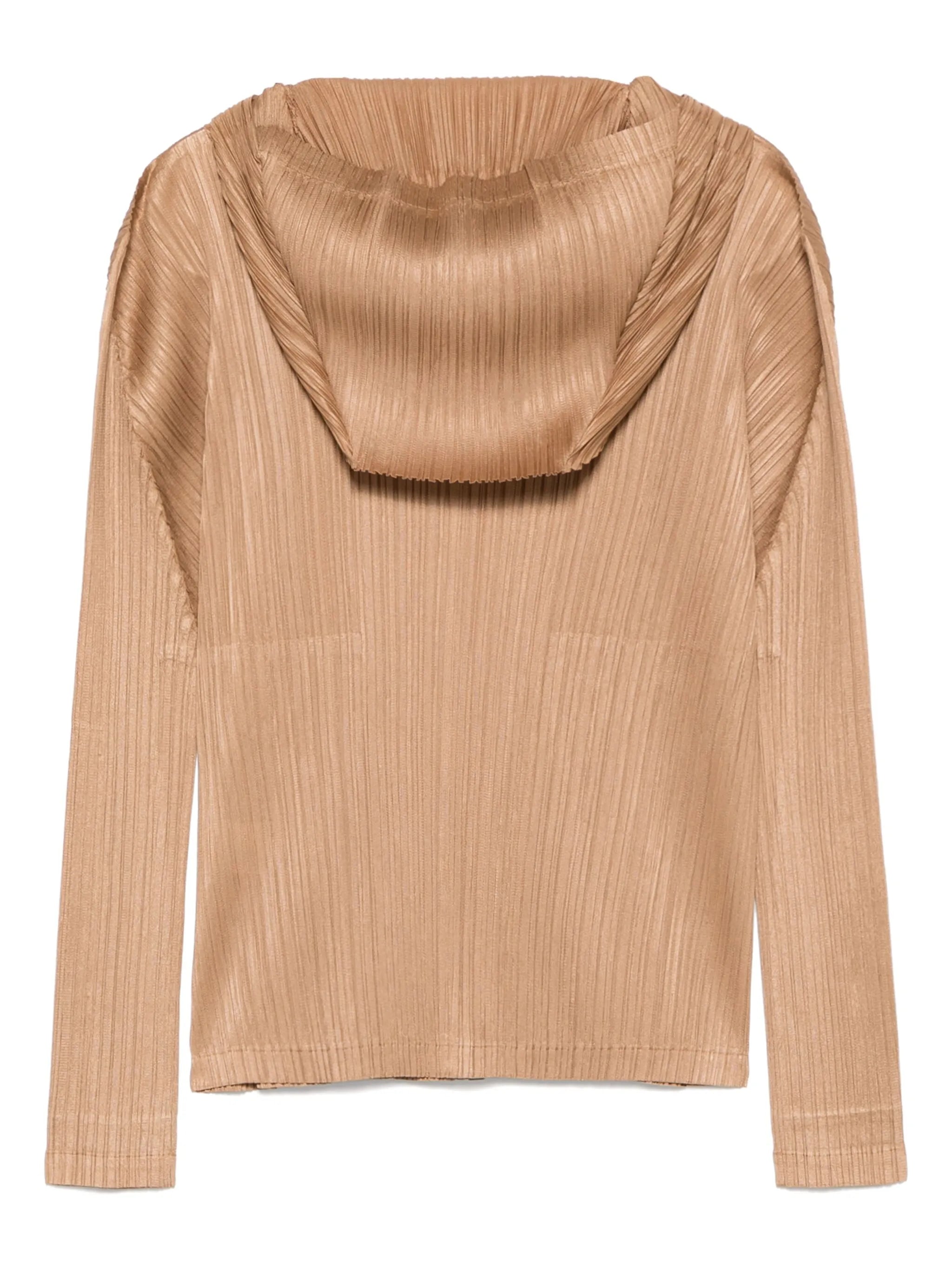Monthly Colors: December hoodie