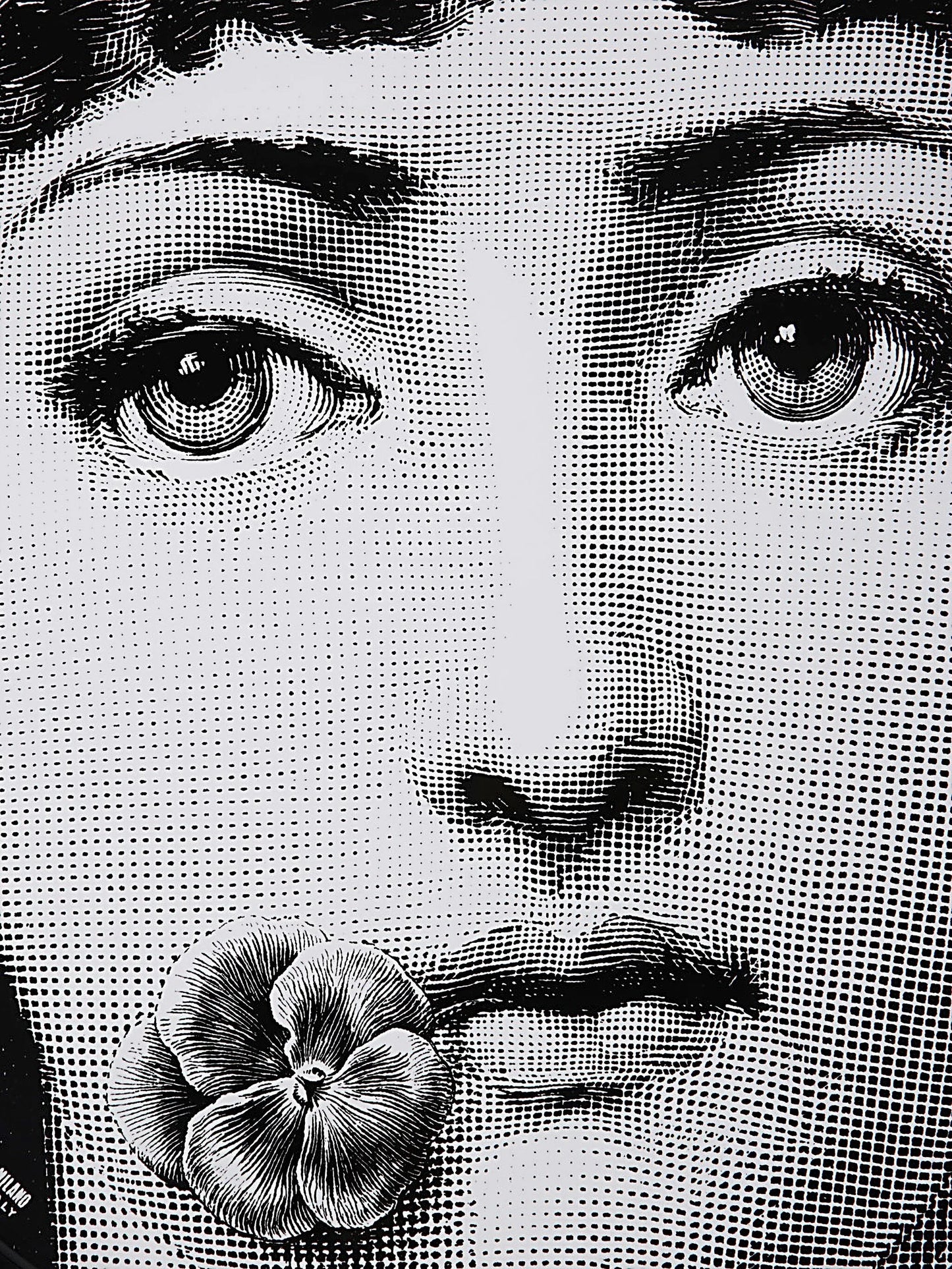 FORNASETTI 40CM TRAY N137