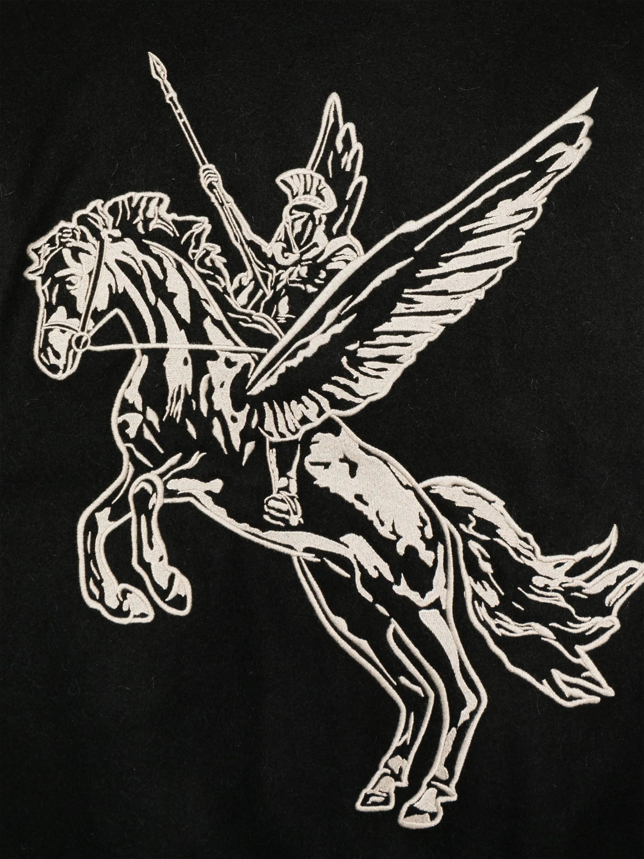 Mascot varsity jacket