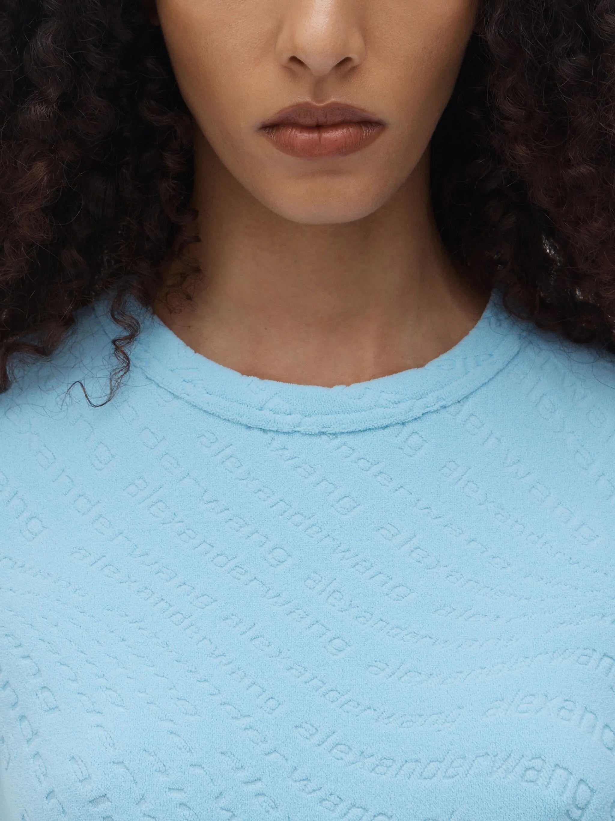 crew-neck shortsleeved mini dress