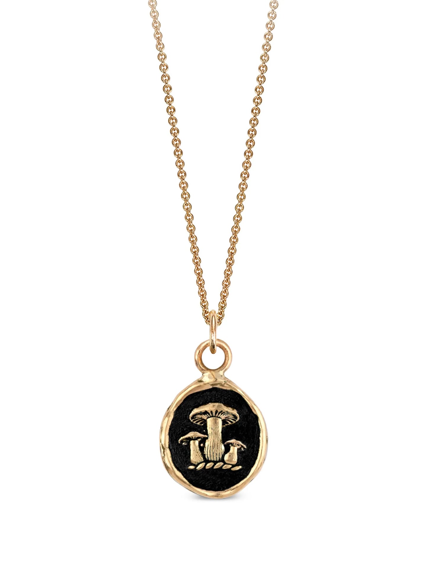 14K yellow gold Earthy Talisman pendant necklace