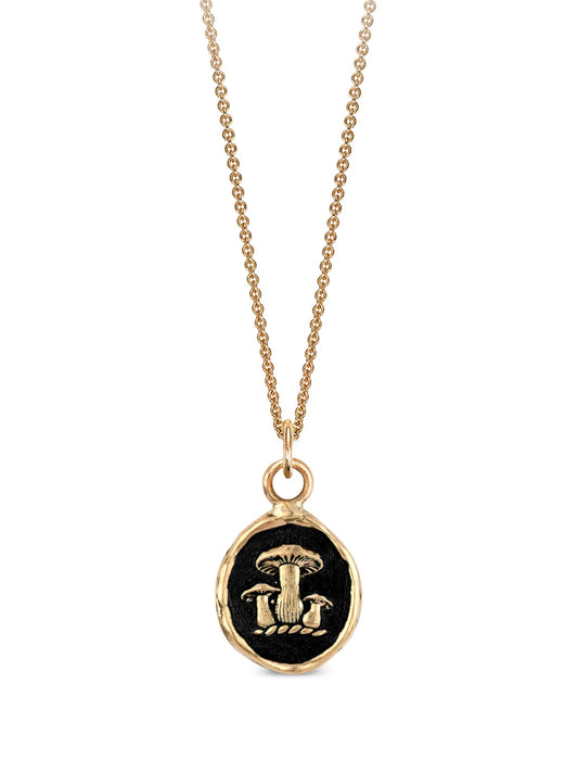 14K yellow gold Earthy Talisman pendant necklace