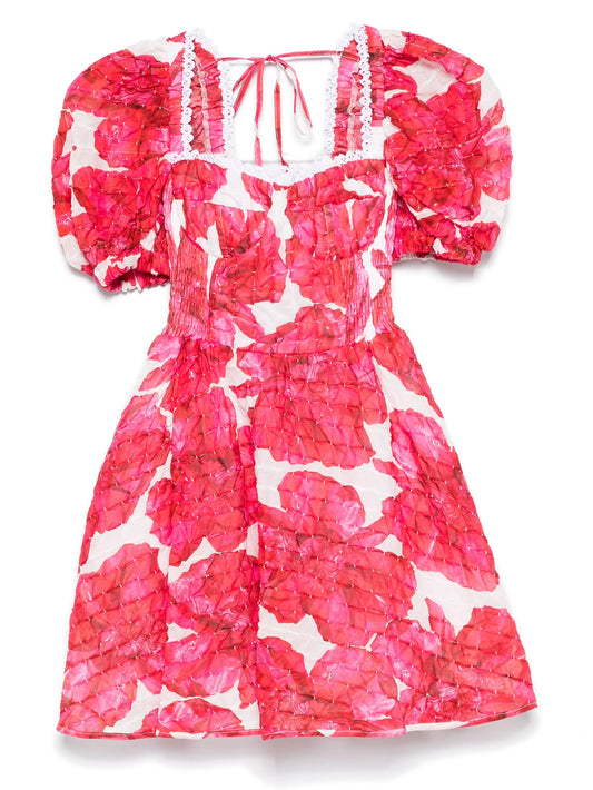Ceile mini dress