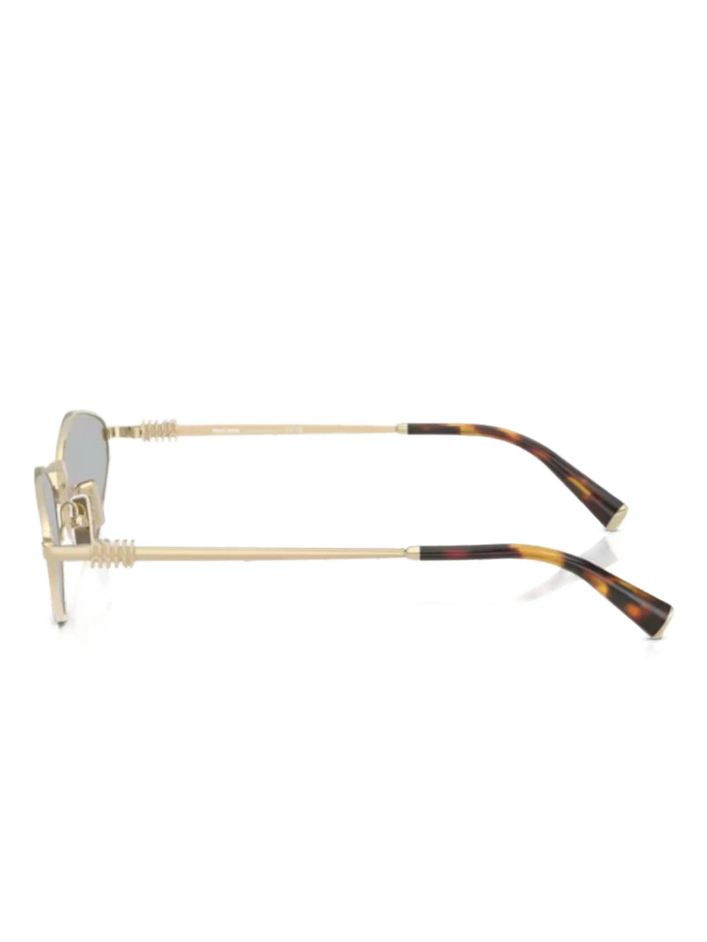 hexagonal frame sunglasses