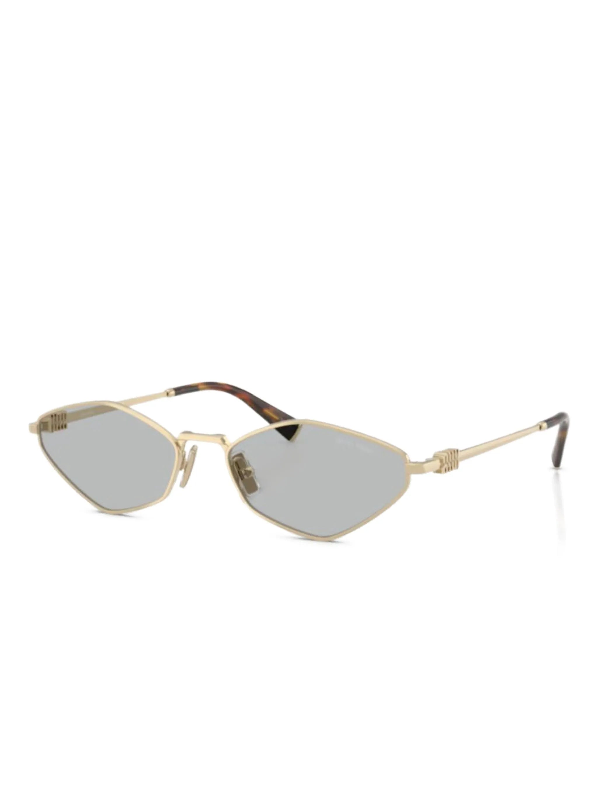 hexagonal frame sunglasses