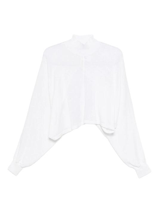 long-sleeved cropped blouse