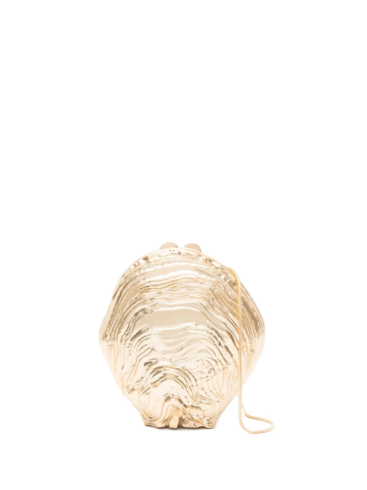 cove shell clutch