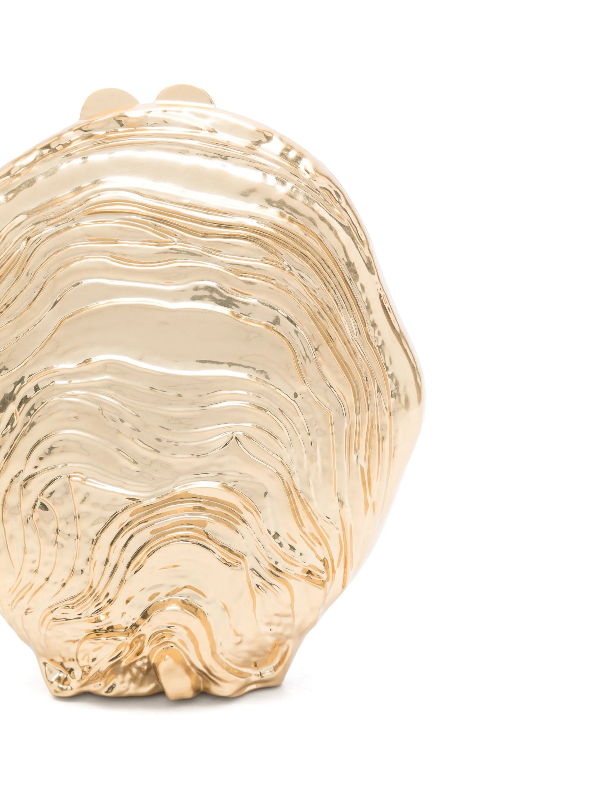 cove shell clutch