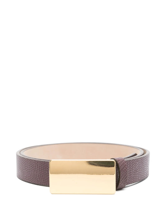 Plate belt
