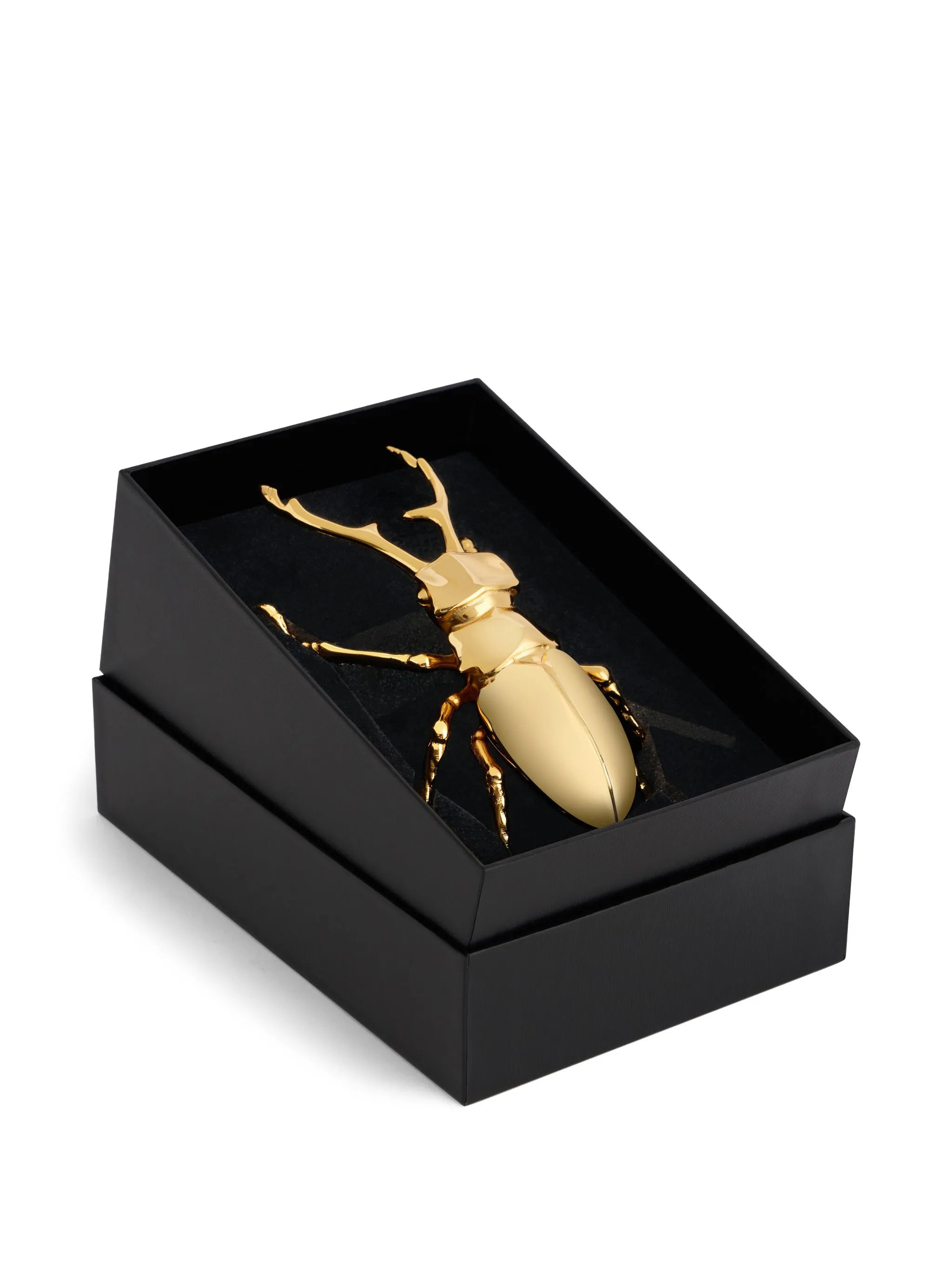 Longhorn bottle opener (7cm x 5cm)