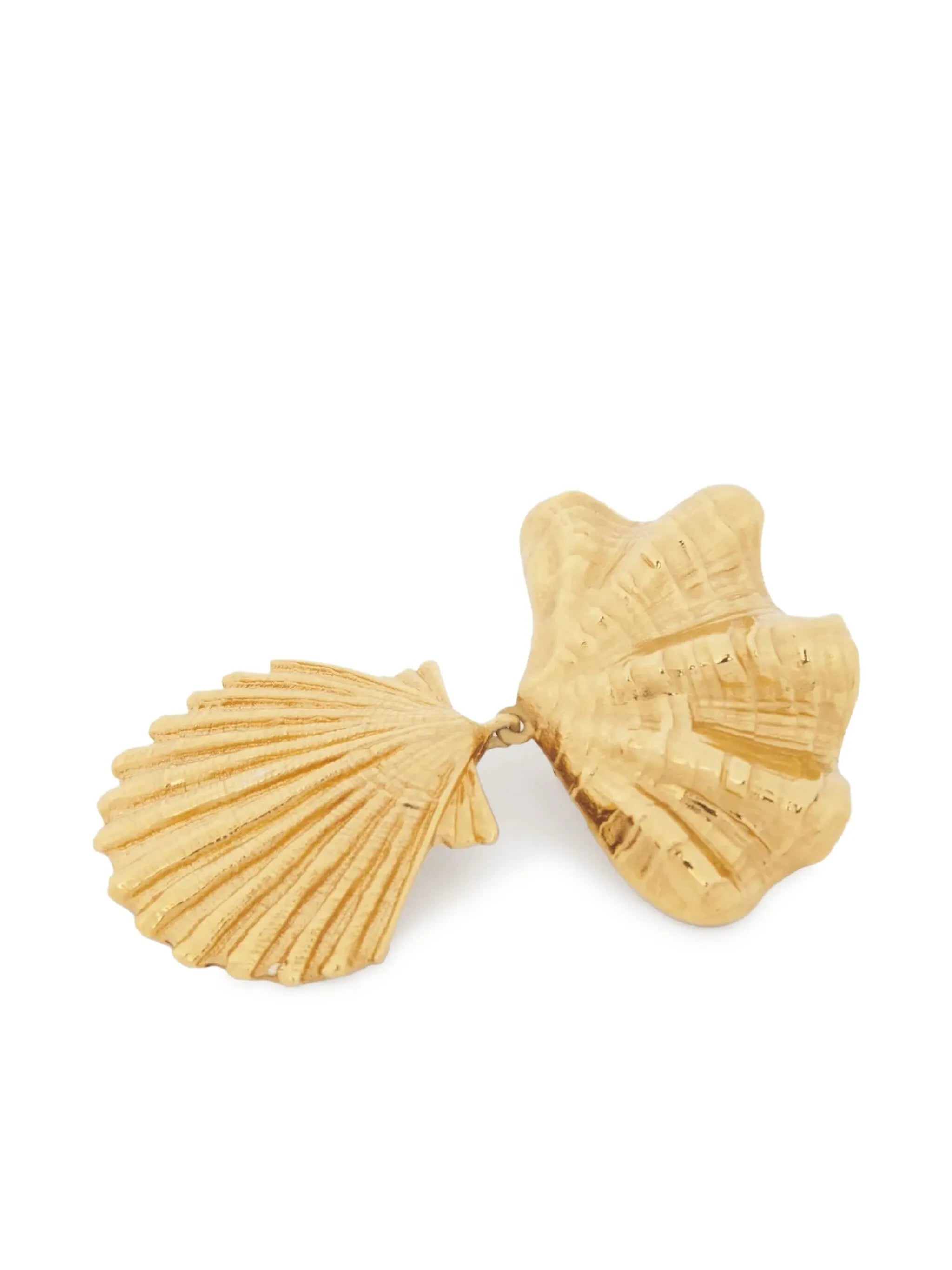 Shells earrings