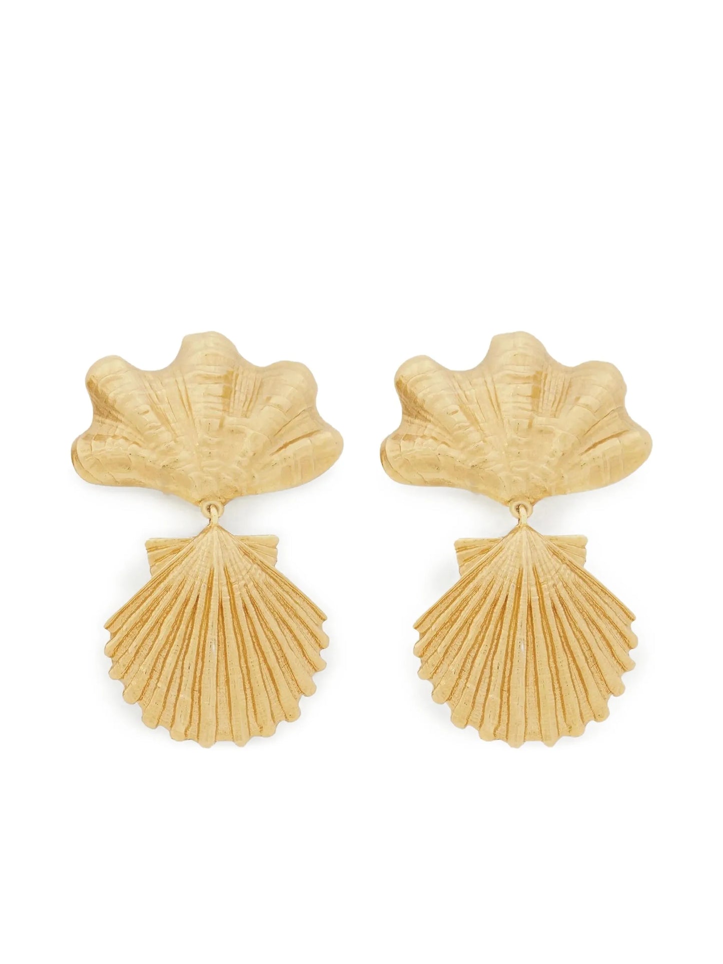 Shells earrings