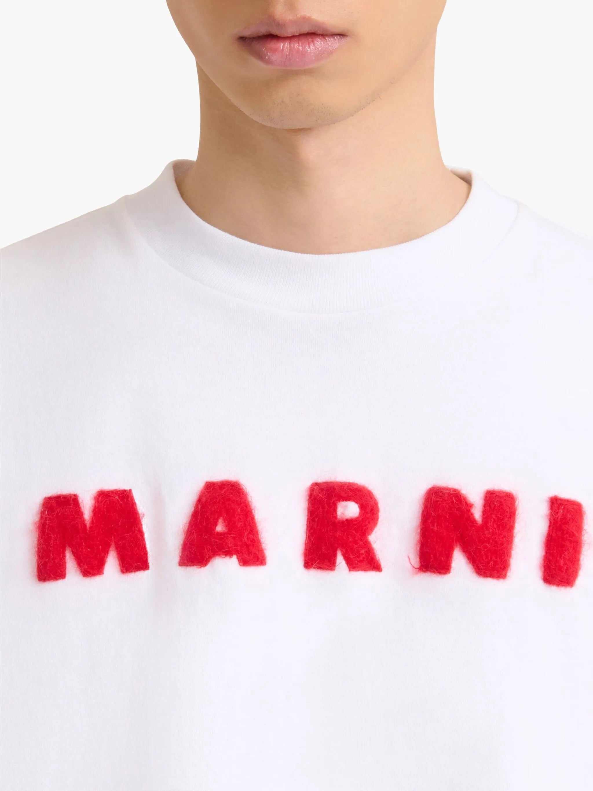 cotton t-shirt
