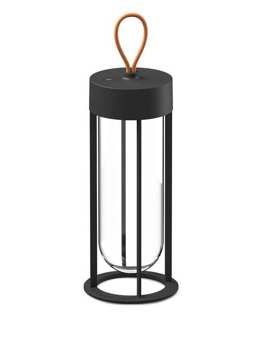 In Vitro lamp