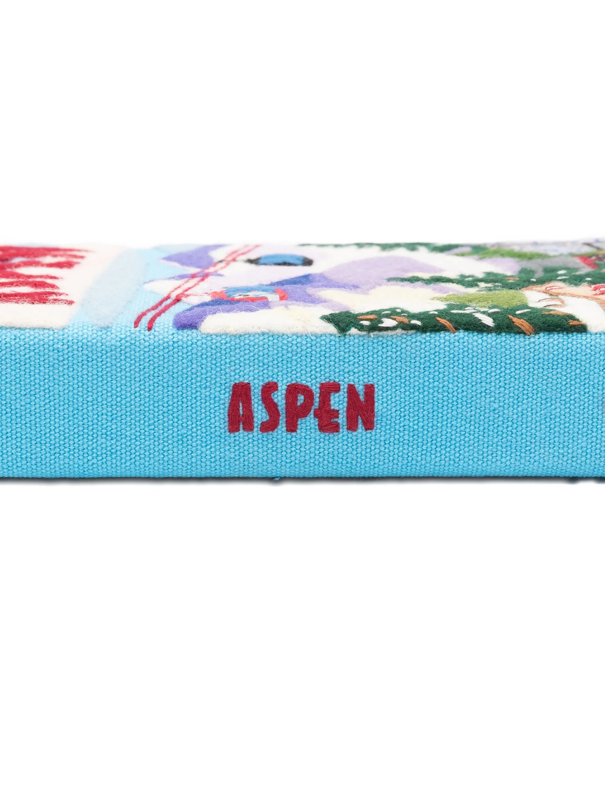 Aspen embroidered mini bag