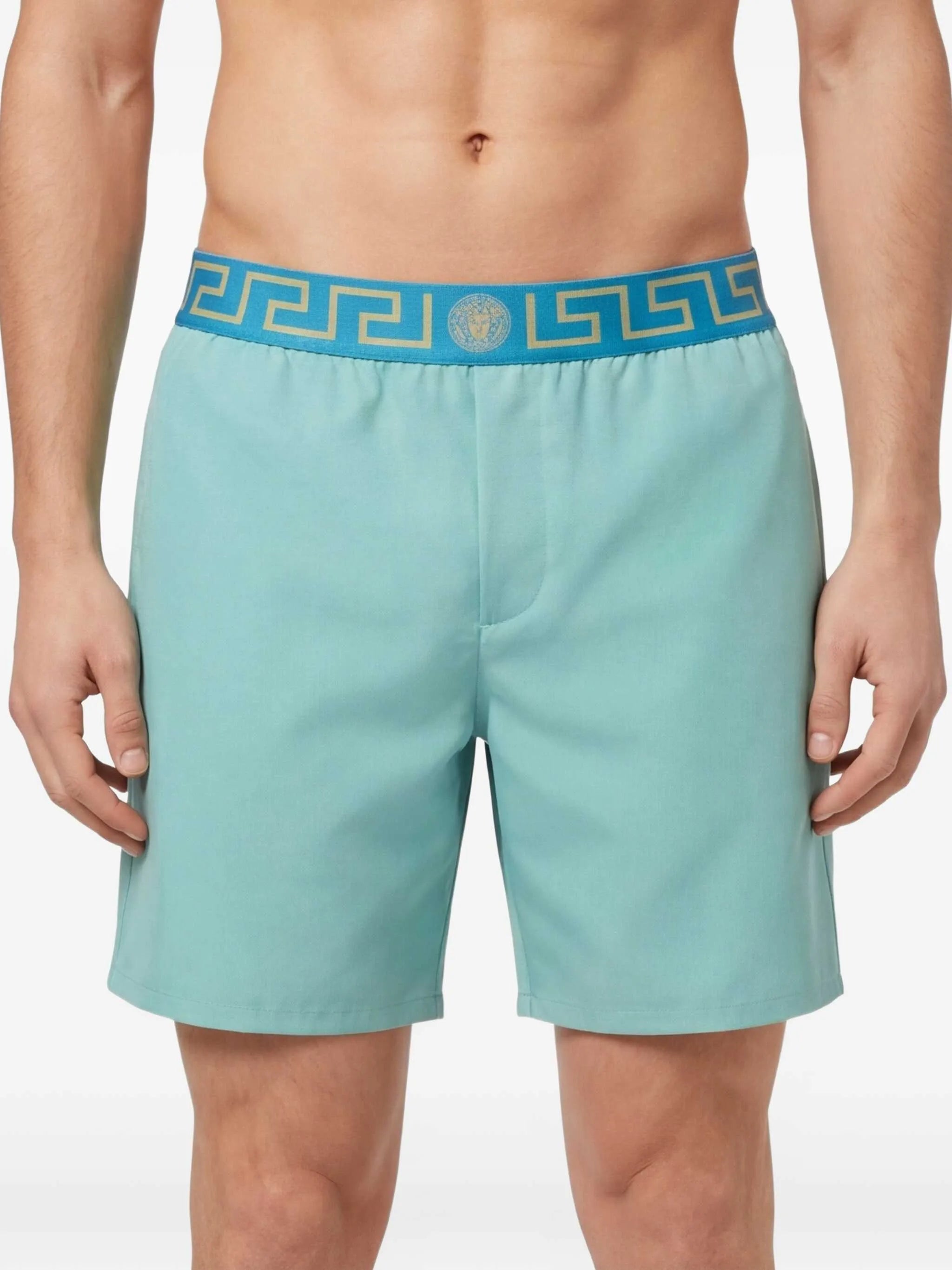 greca border swim shorts