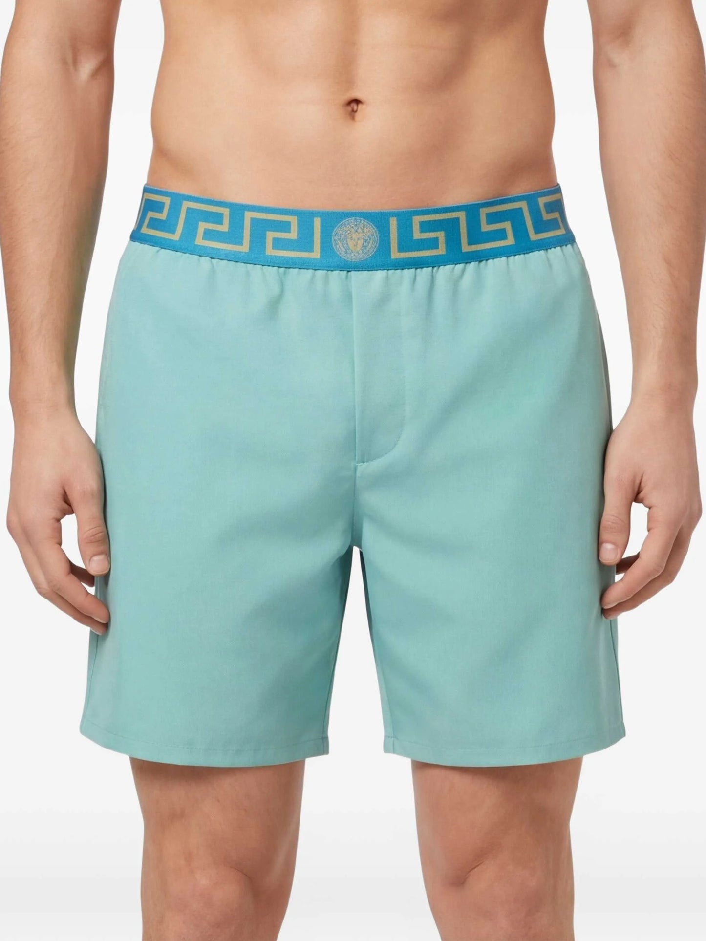 greca border swim shorts