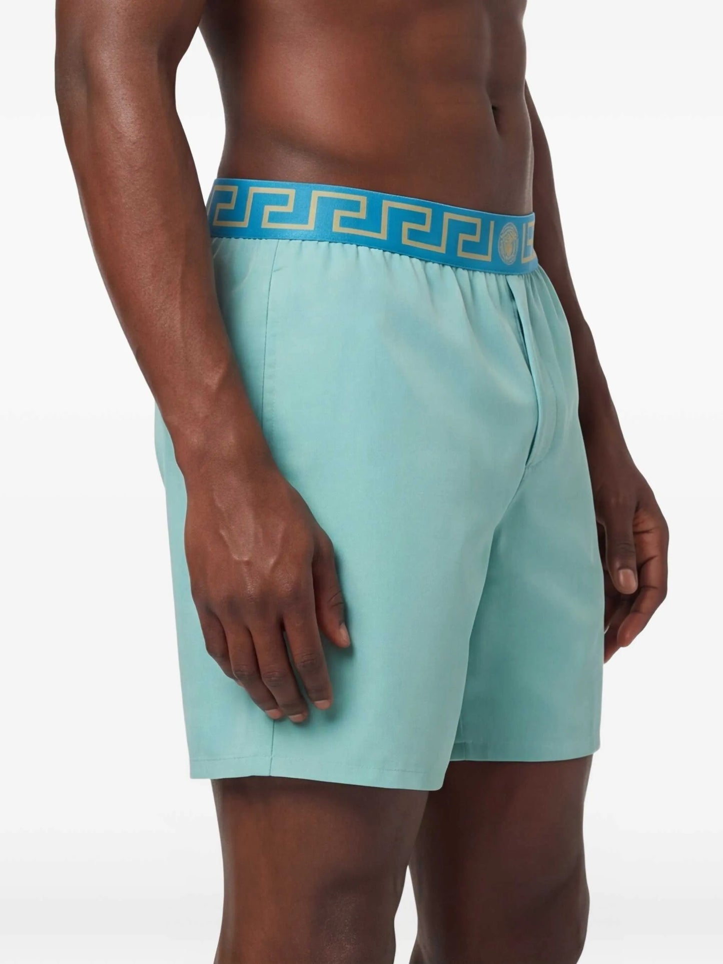 greca border swim shorts